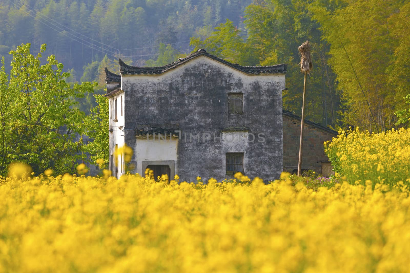 Rural landscape in Wuyuan