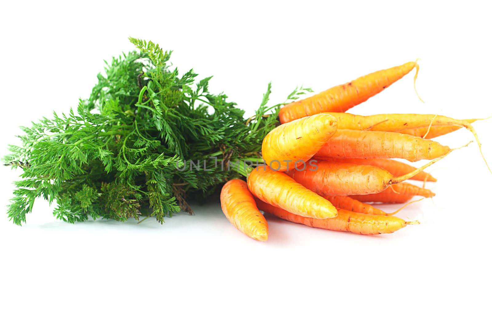 bunch of carrots with green leaves isolated on white by jannyjus