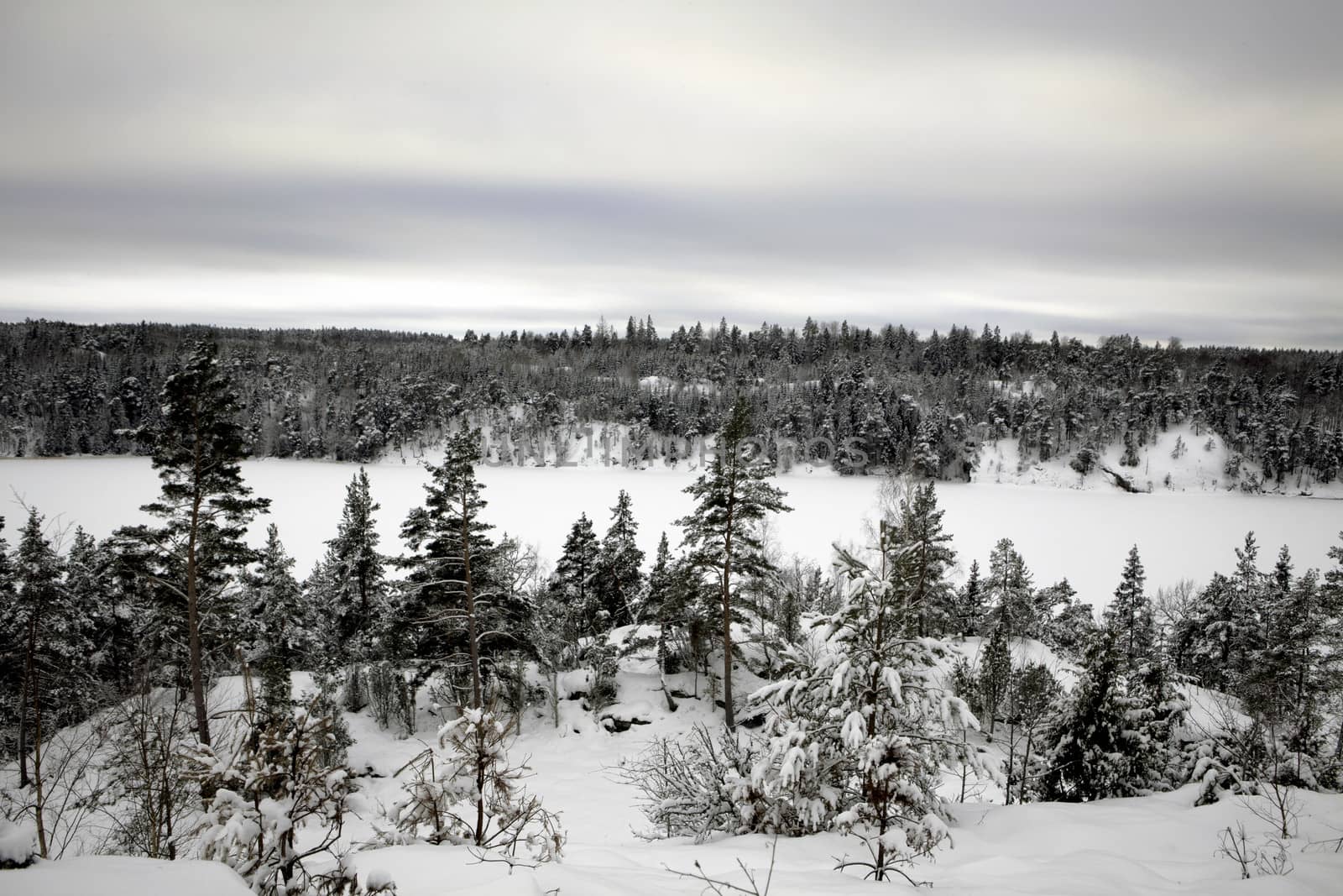 Winter Sweden by thomas_males