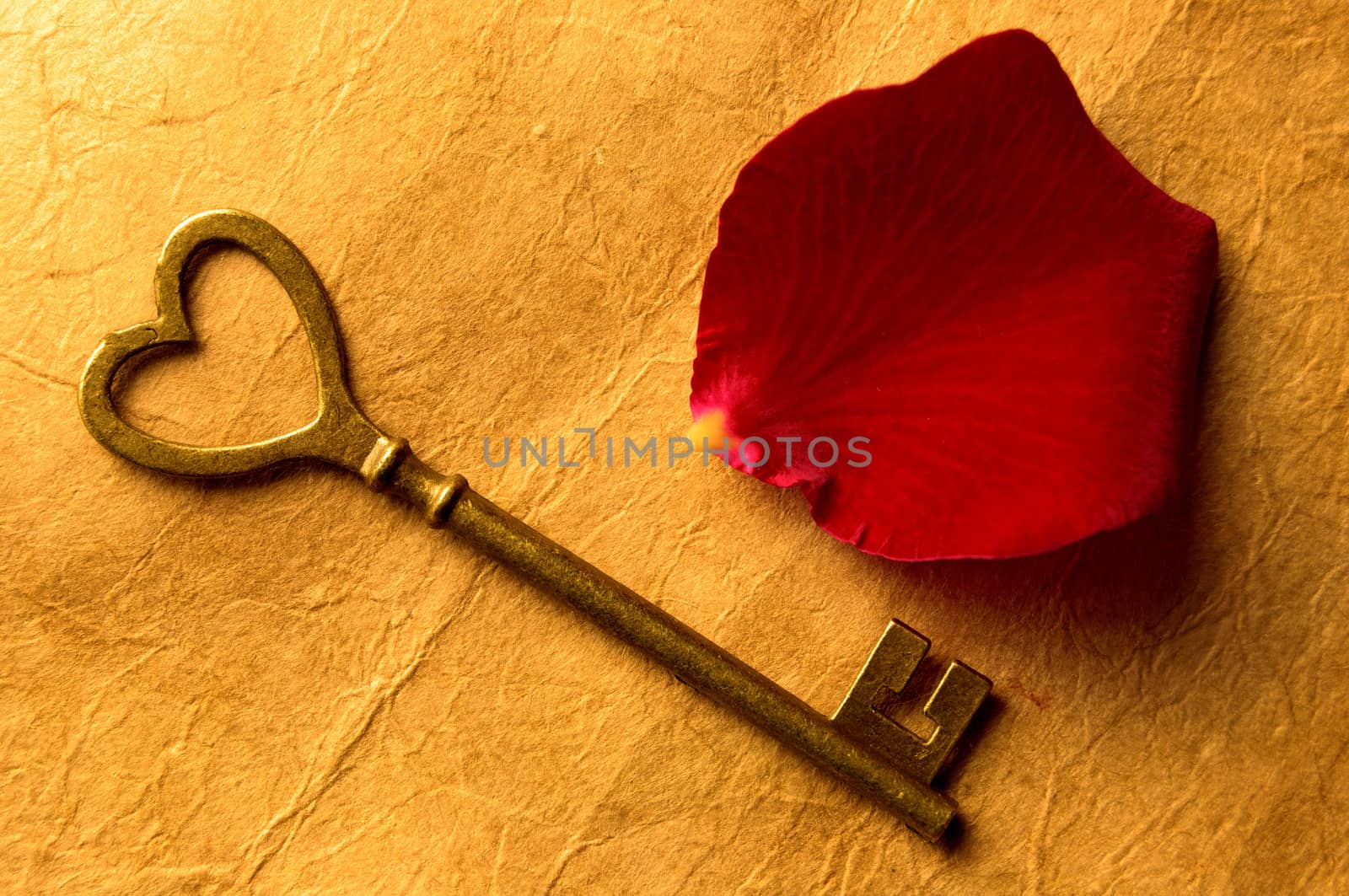 Antique key in the shape of a heart symbol with a rose petal 