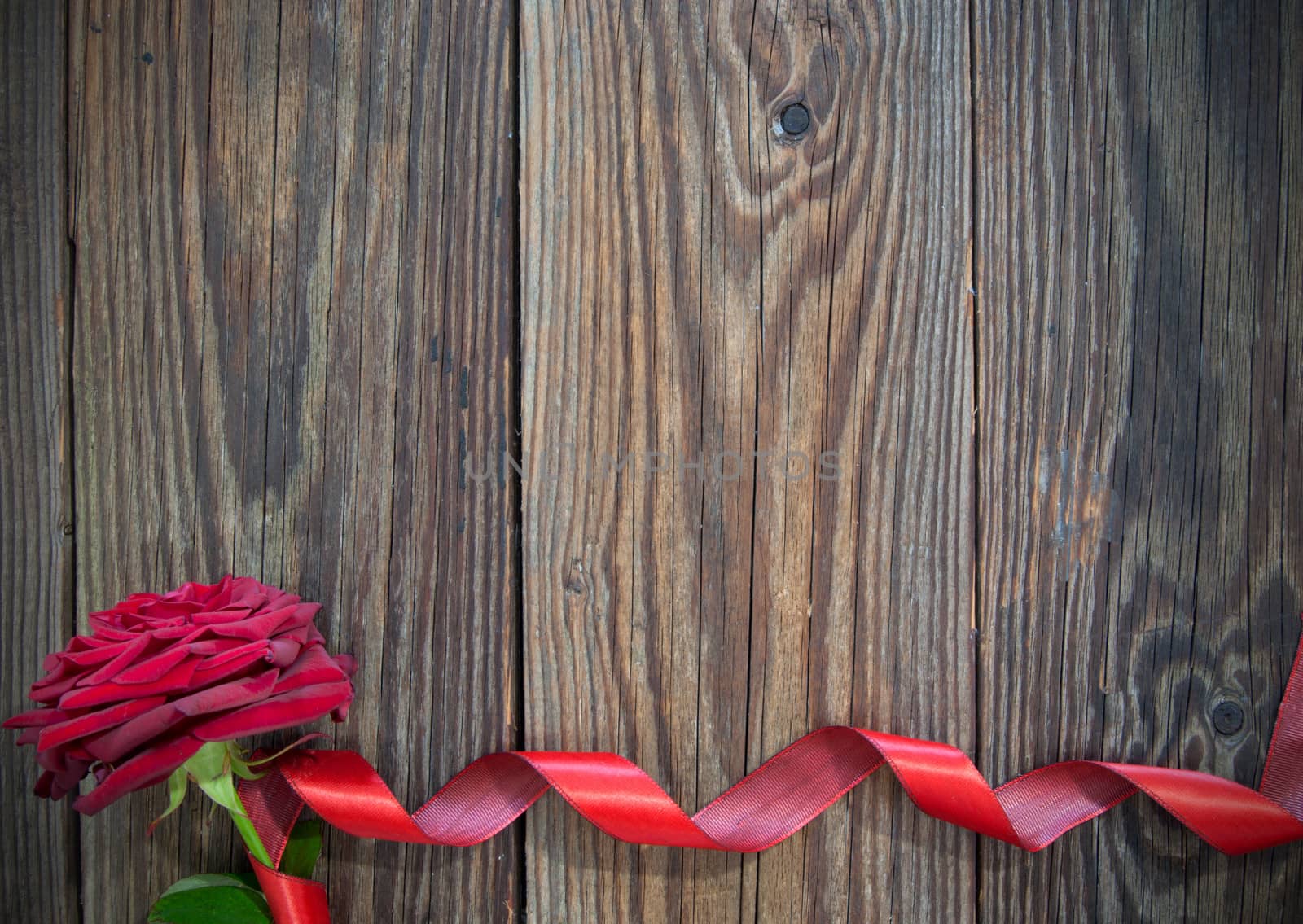 Red rose with decorative ribbon forming a border over a wooden background 