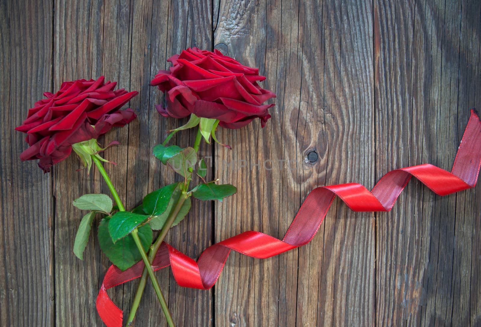 Red roses with decorative ribbon over old wood 