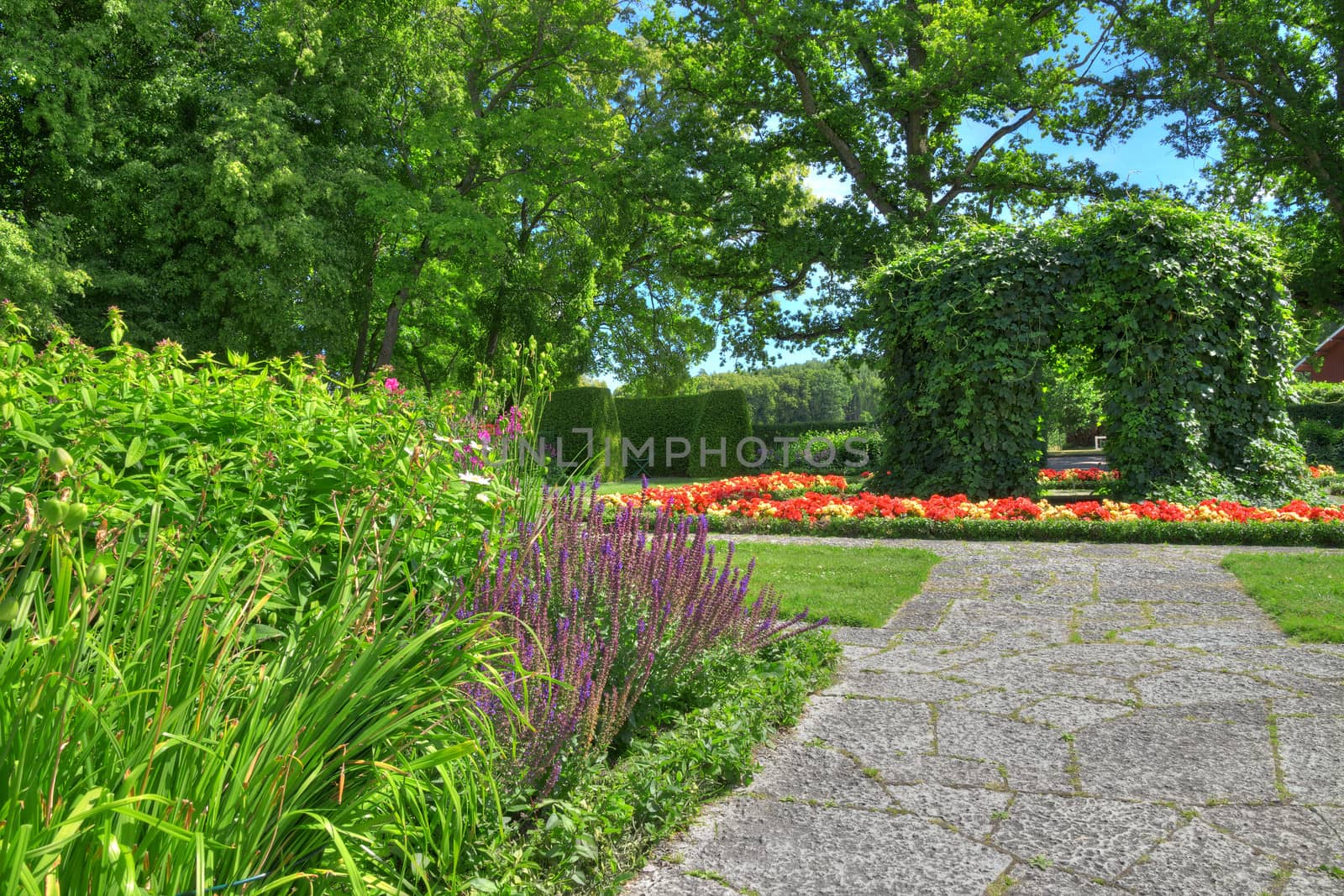 Ornamental garden with stone paths in summer.