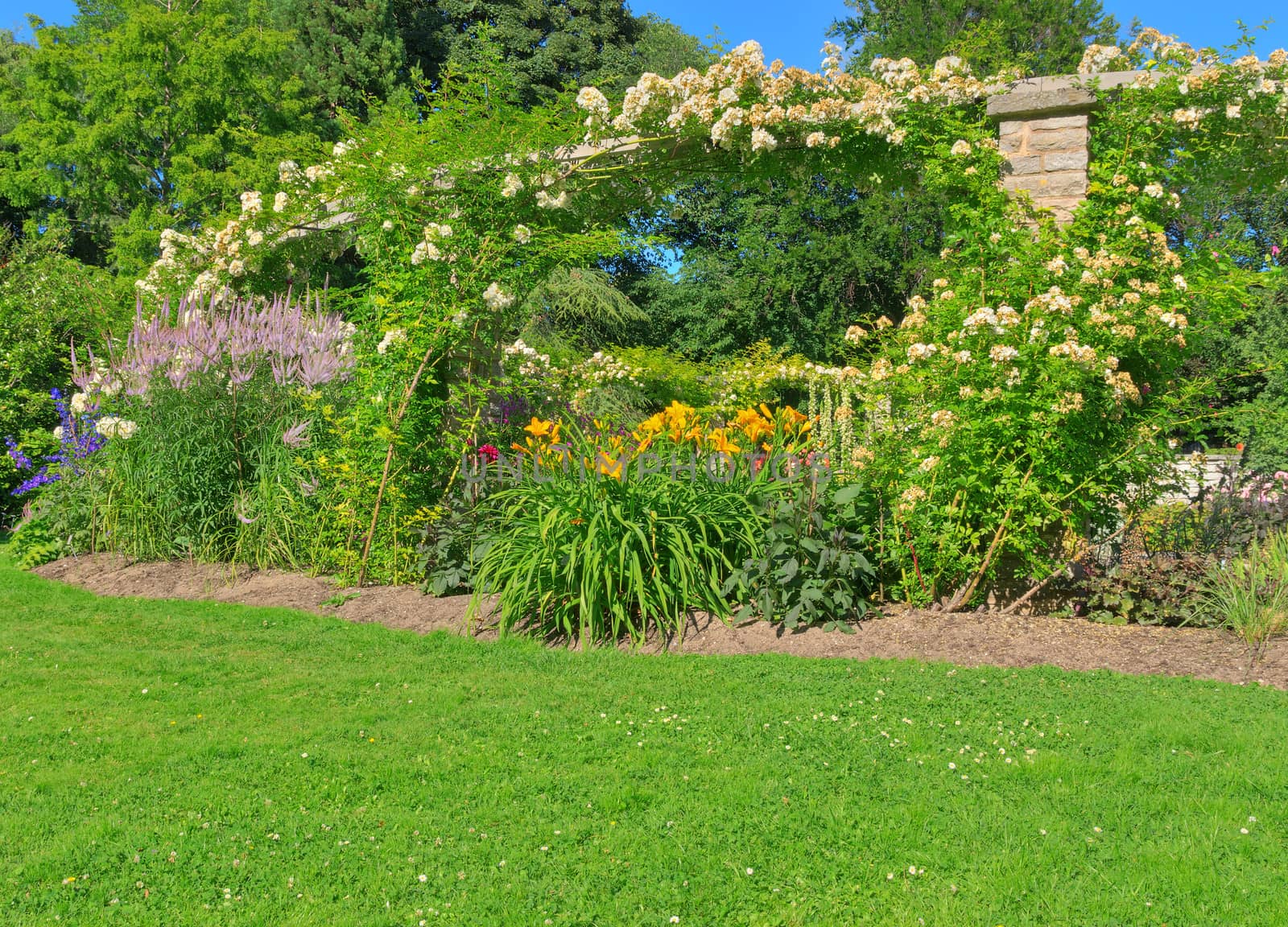 Sunny summer garden with green lawn by anikasalsera