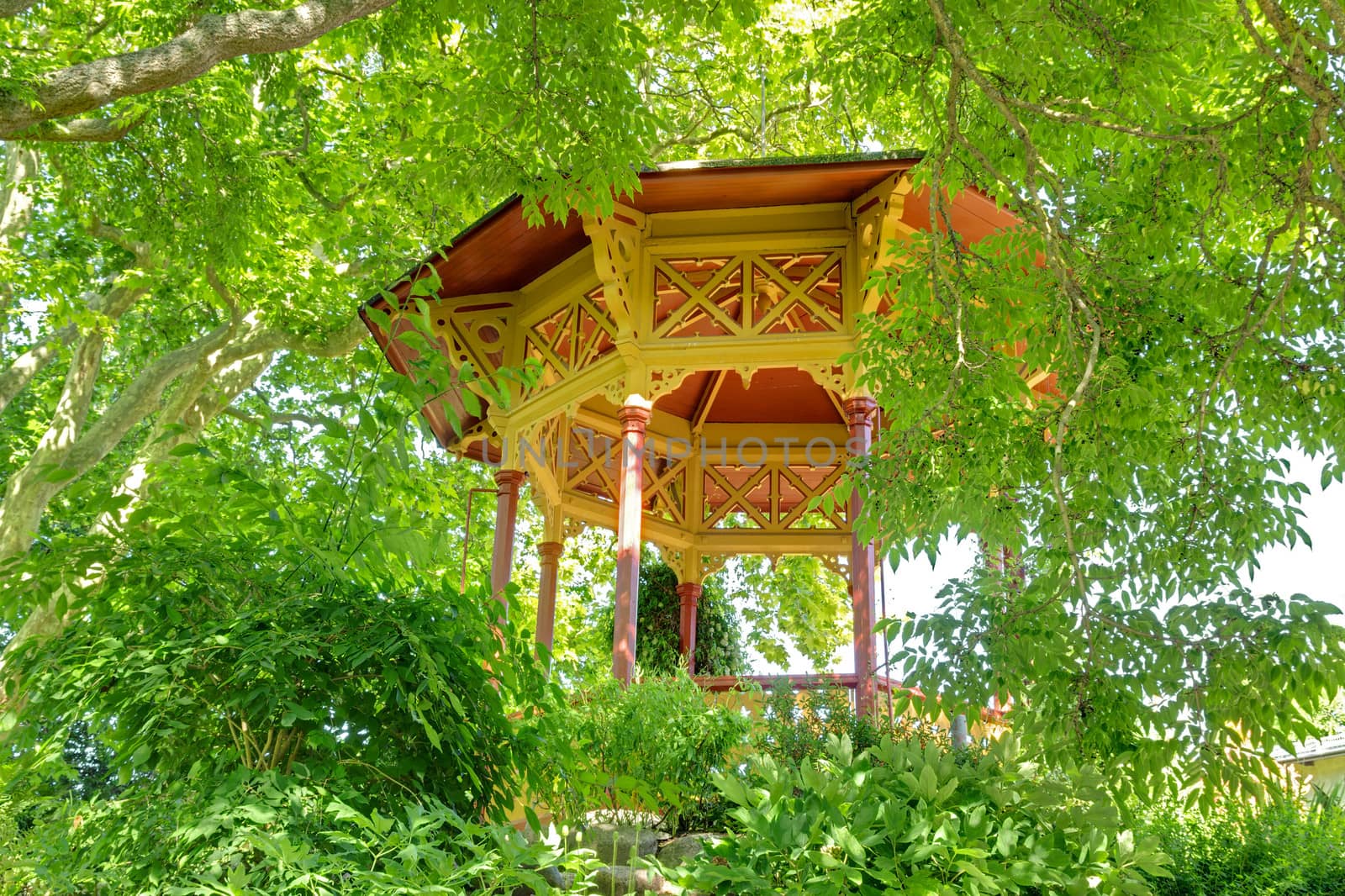 Wooden veranda in the summer garden by anikasalsera