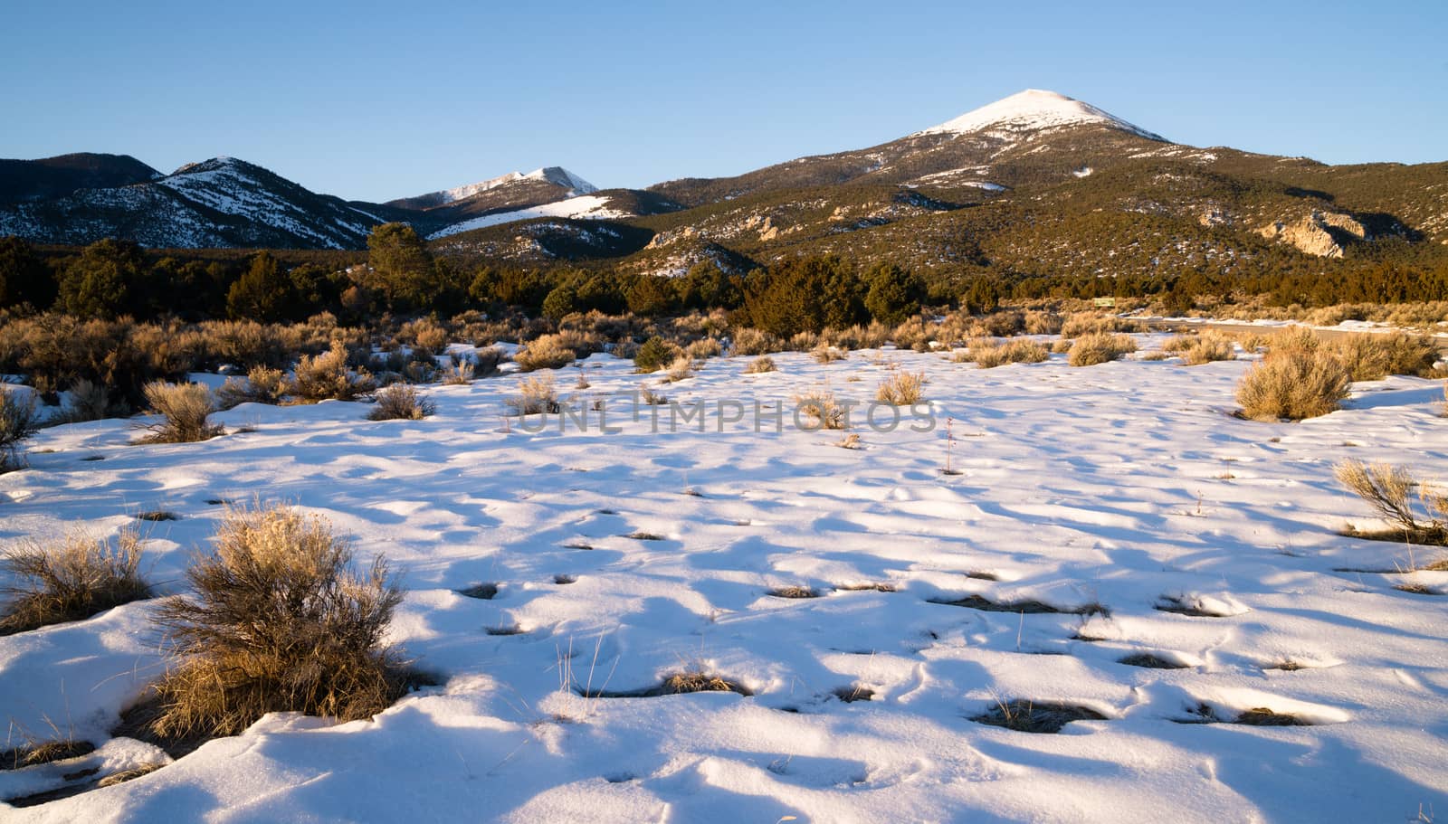 Winter landscape in Great Basin National Park