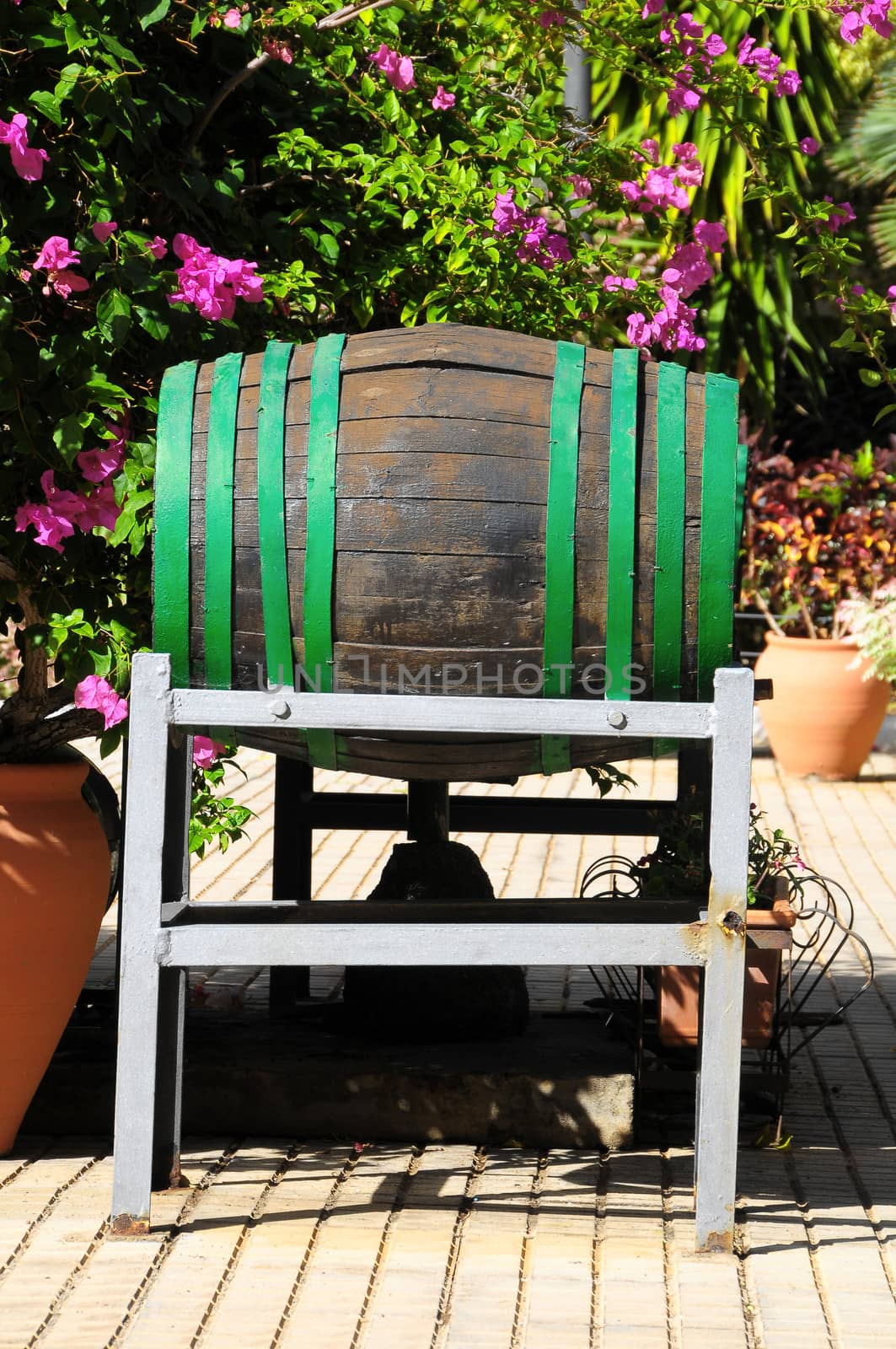 Decorative Old Wooden Barrel on an Urban Garden