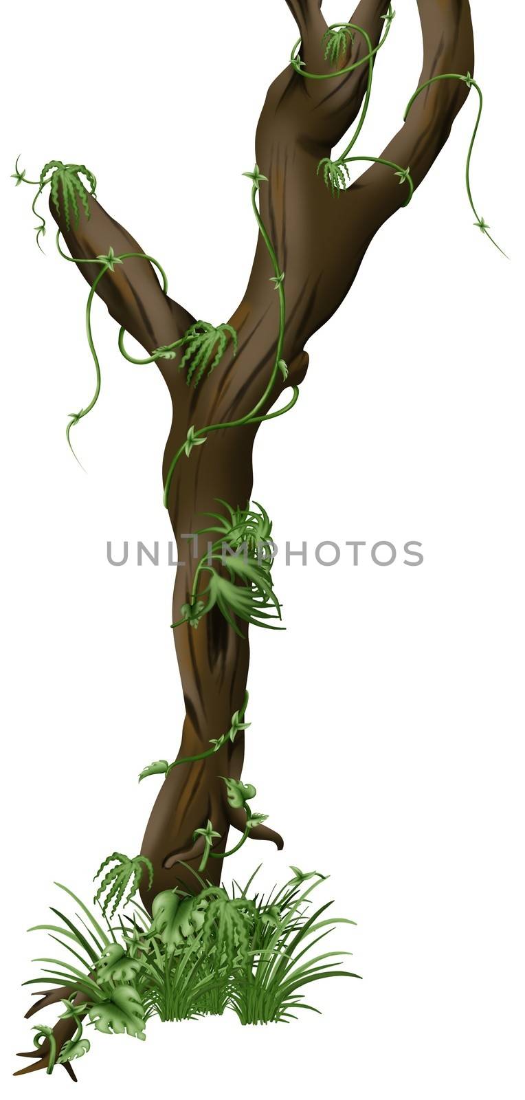 Trunk Tree and Creeping Plants - illustration