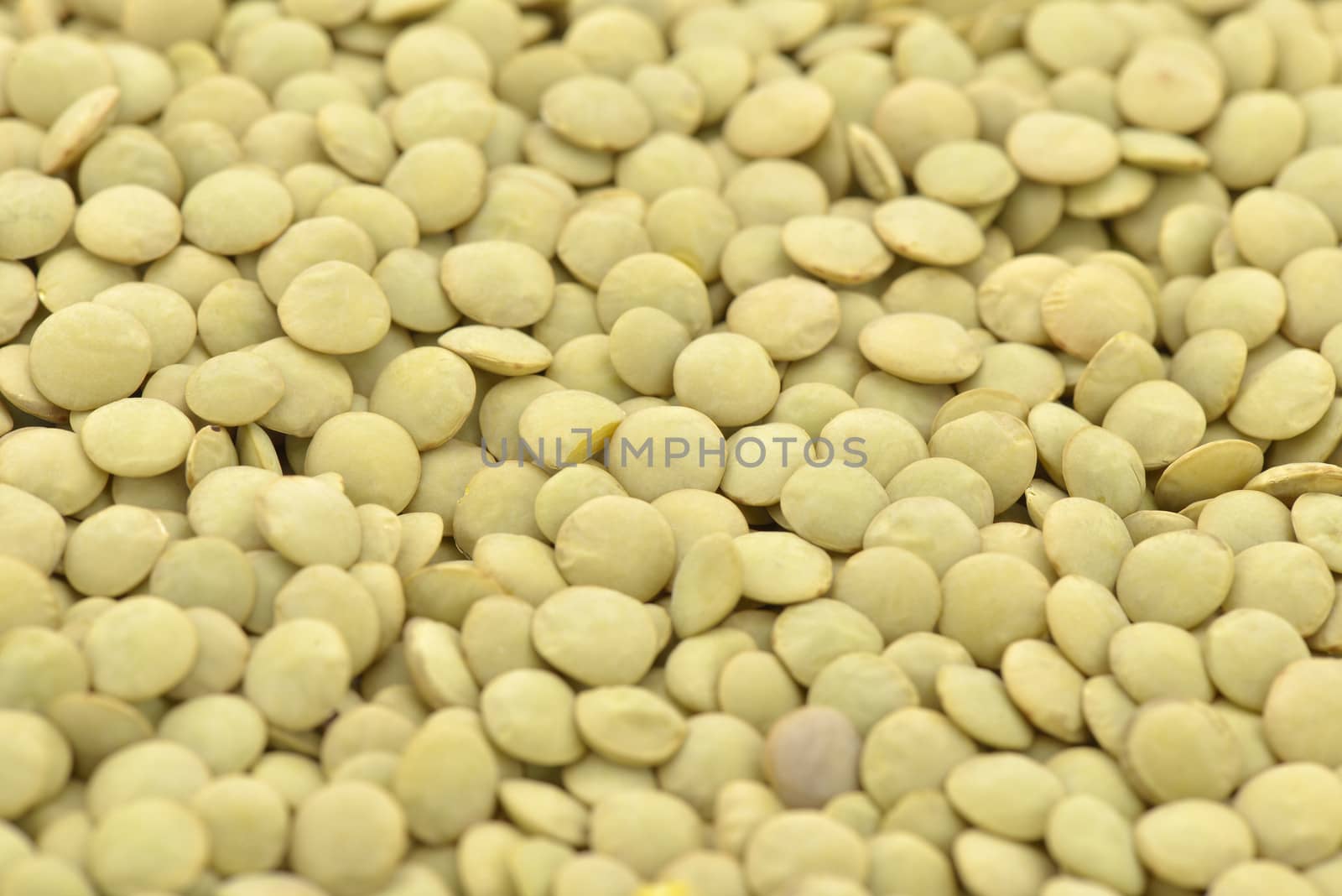 Grain of yellow lentils in closeup of background