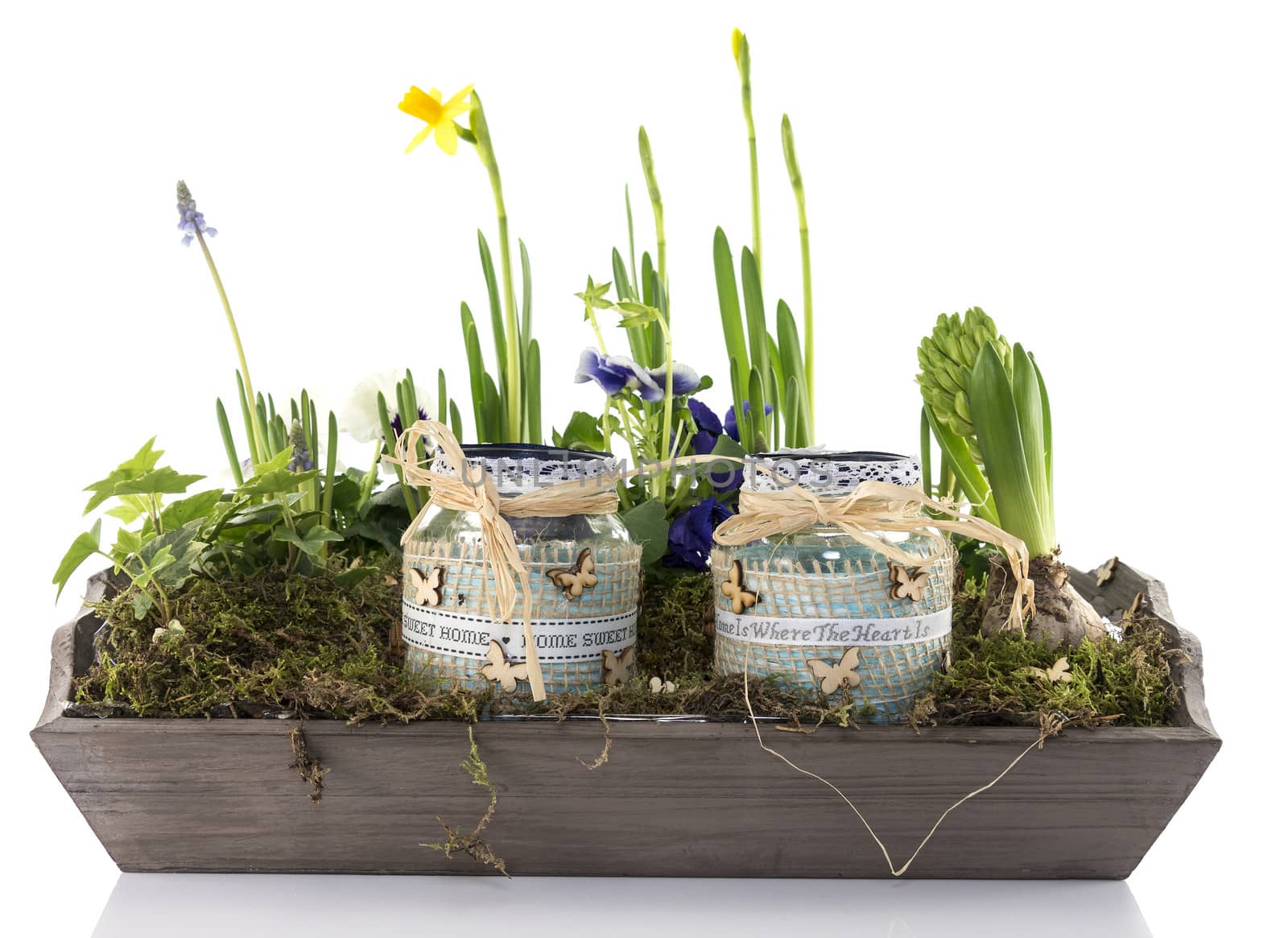 mini garden with flowers on wooden plate