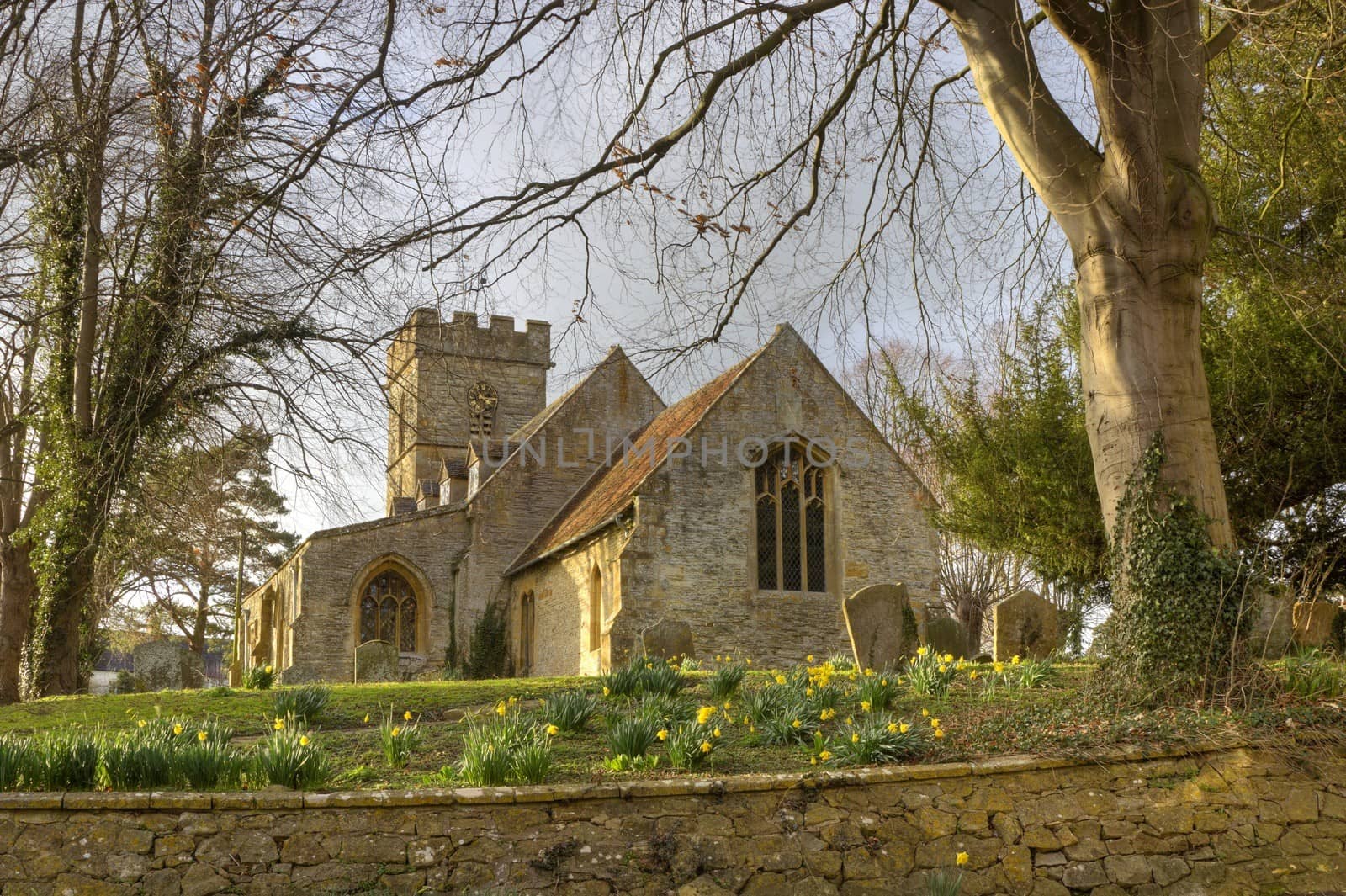 Pretty Worcestershire church with daffodils at springtime, Pebworth, England.