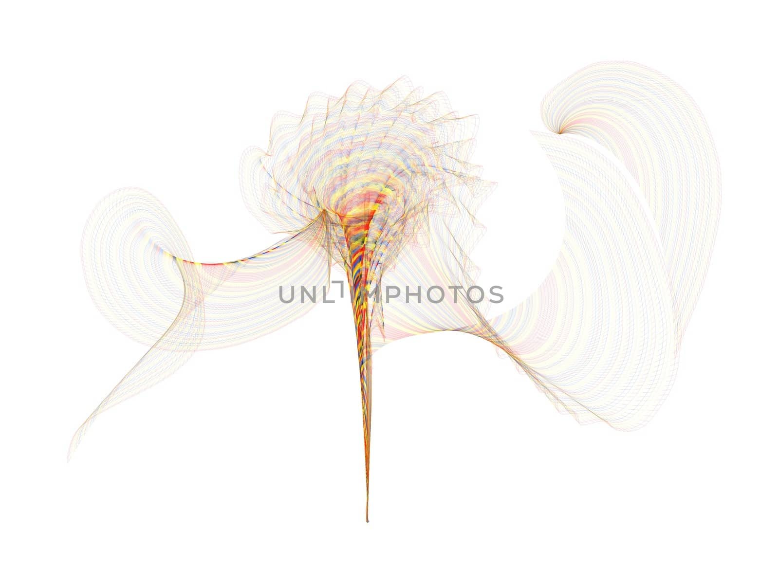 abstract flower by africa