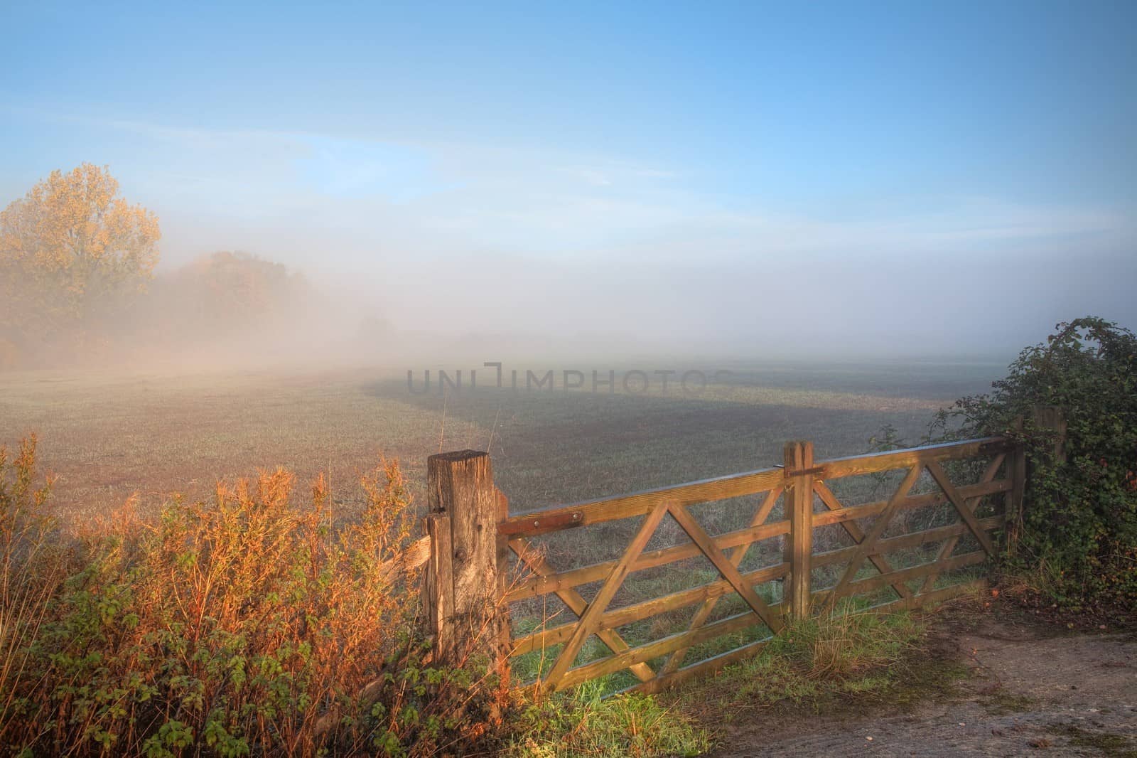 Misty countryside scene with 5-bar gate, Mickleton, Gloucestershire, England.