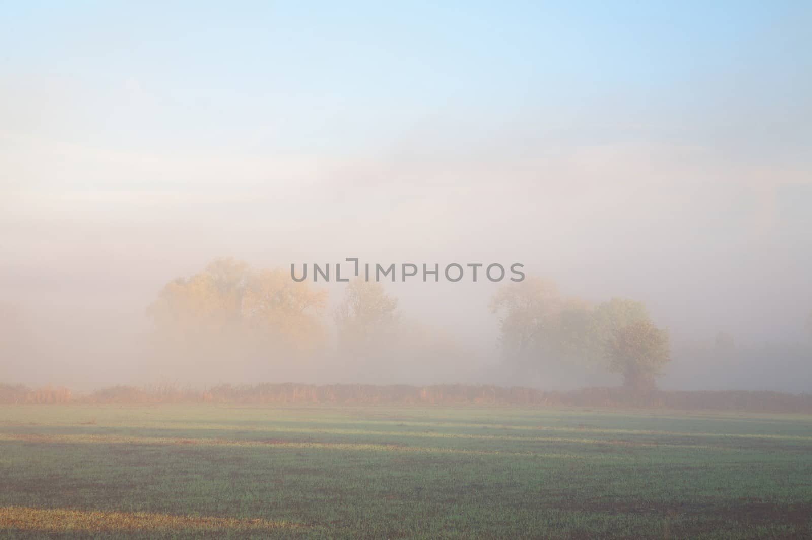 Looking over farmland through the morning mist, Mickleton, Gloucestershire, England.