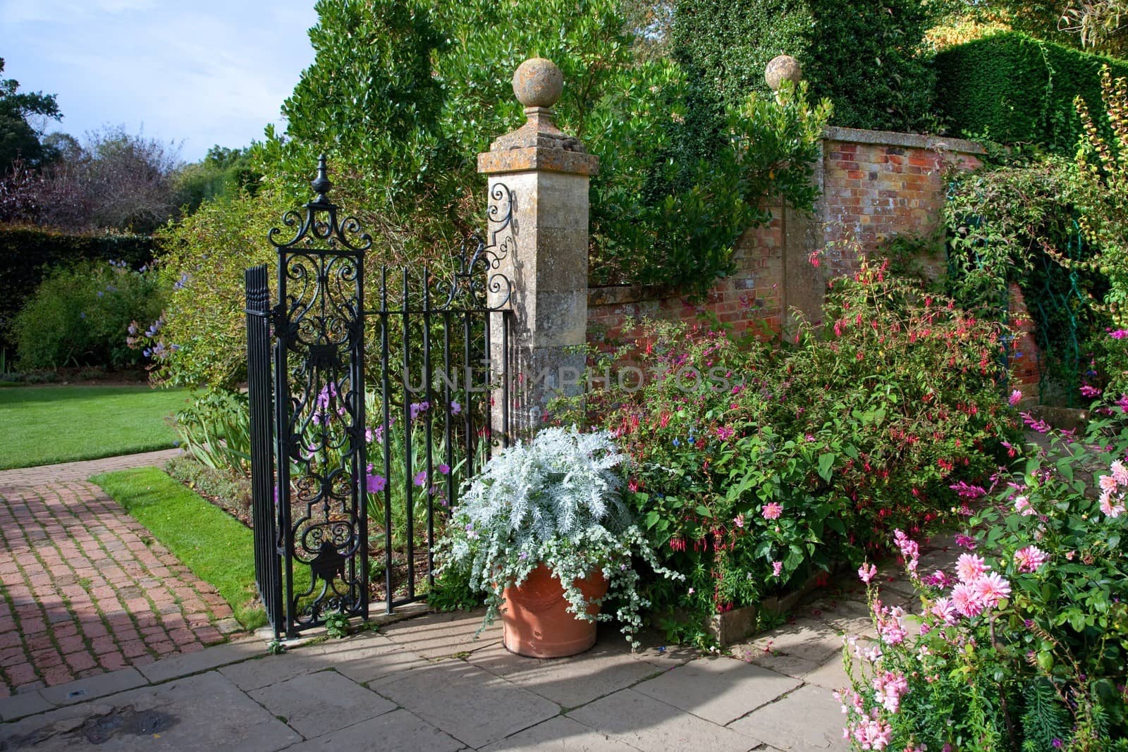 Fine English country garden with fuchias and delphiniums, Gloucestershire, England.