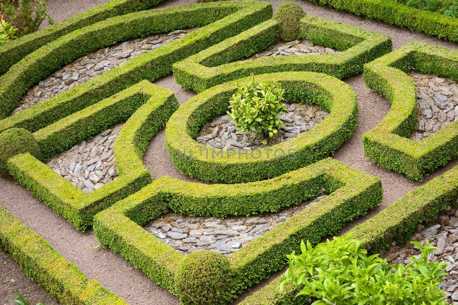 Topiary knot garden by andrewroland