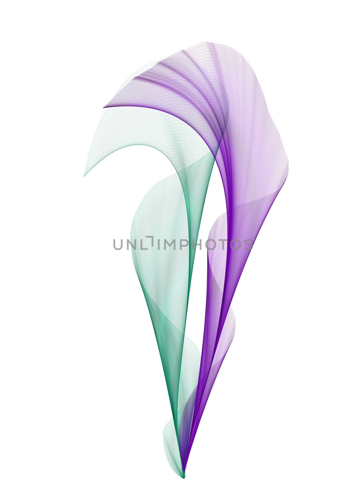 abstract flower