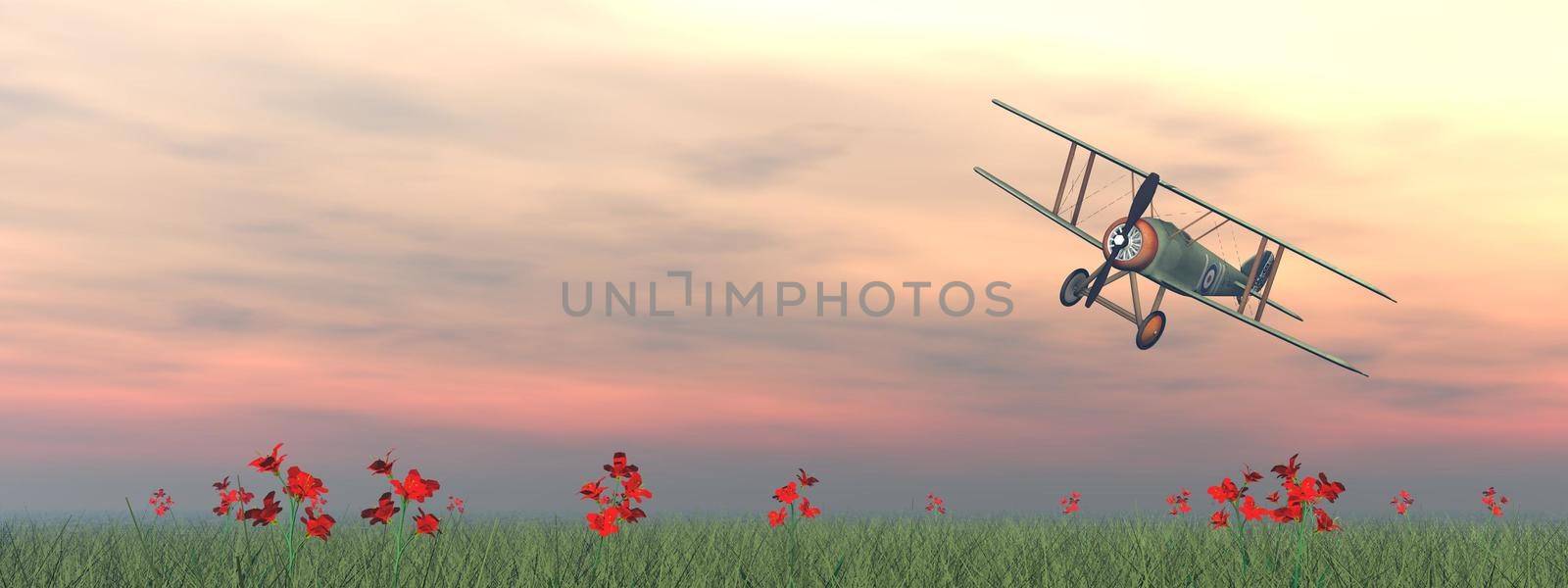 Vintage biplane standing on the green grass with flowers by pink sunset