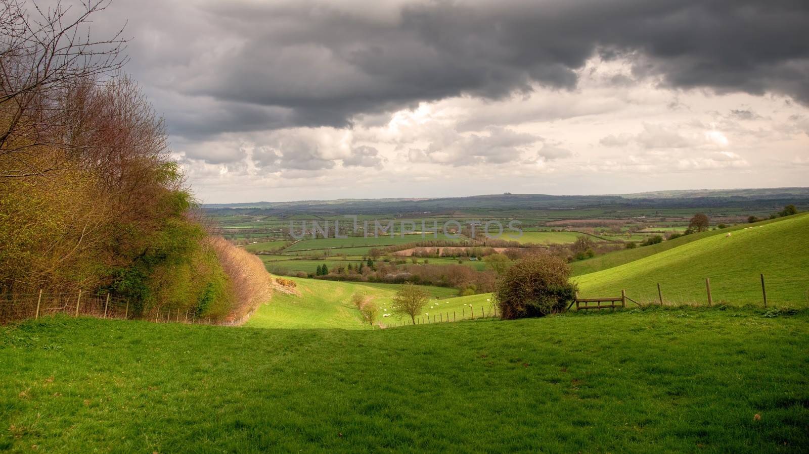 View near the Warwickshire village of Ilmington, Cotswolds, England.