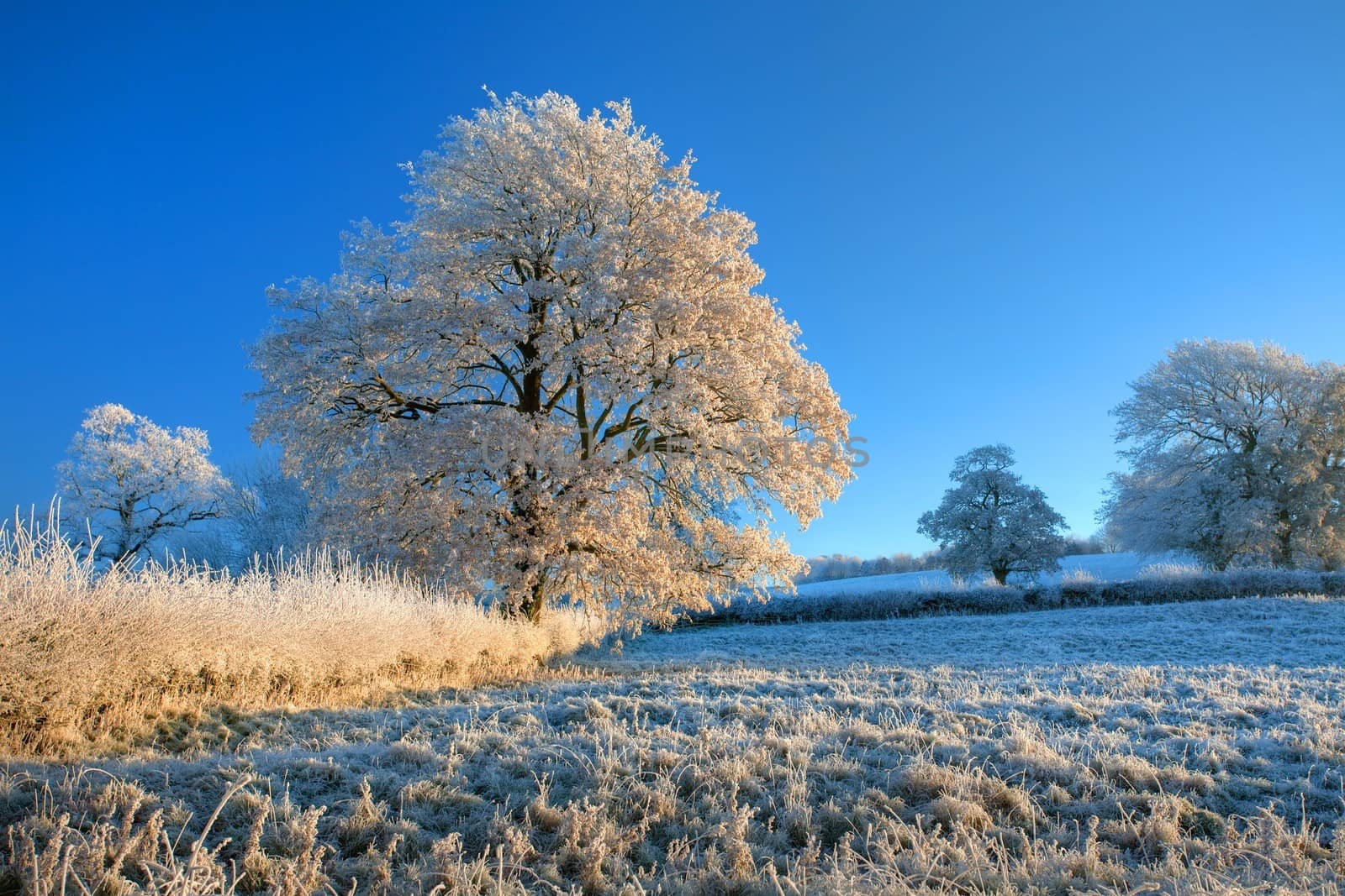 English farmland in winter by andrewroland