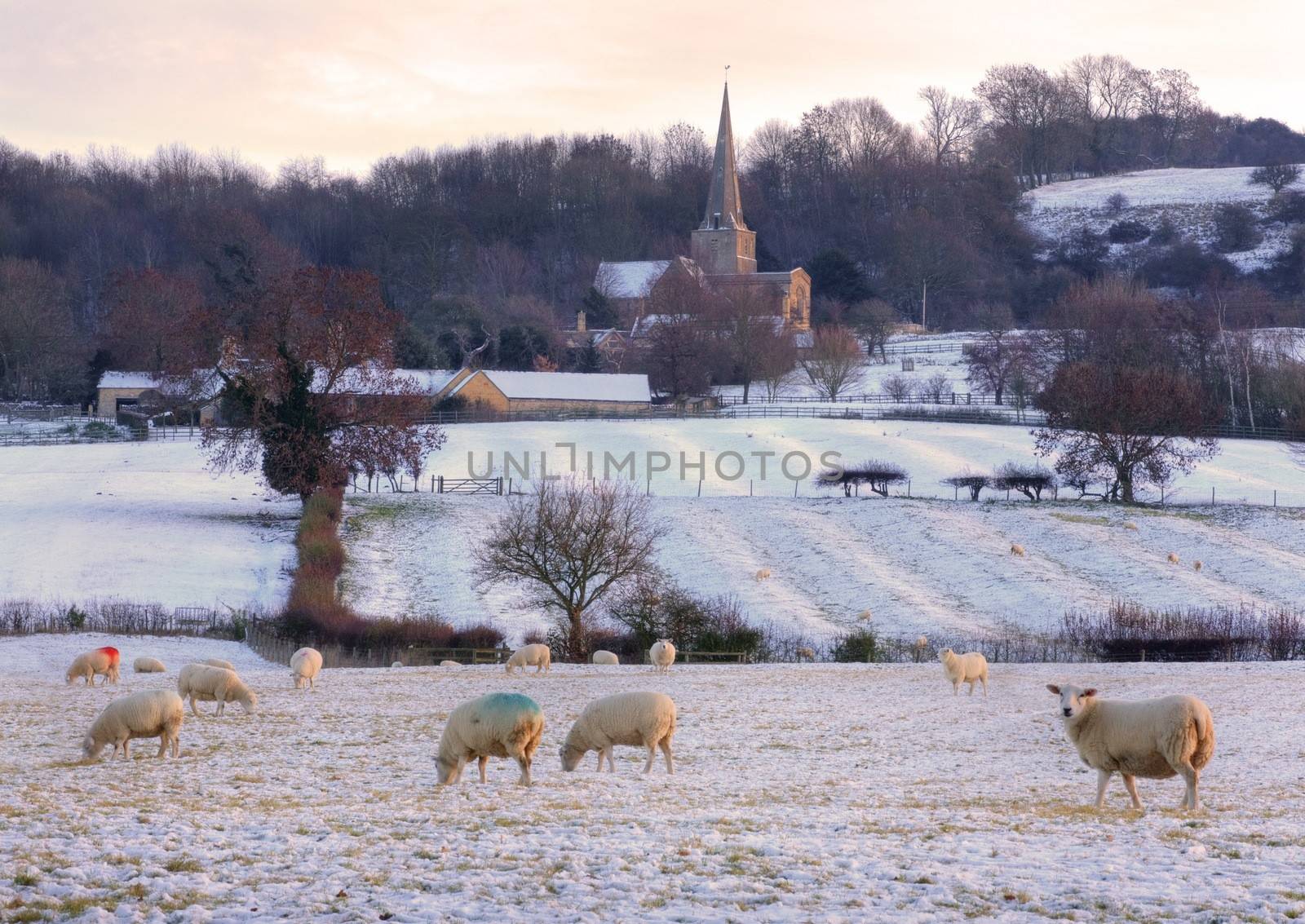 Wintertime in the Cotswolds by andrewroland