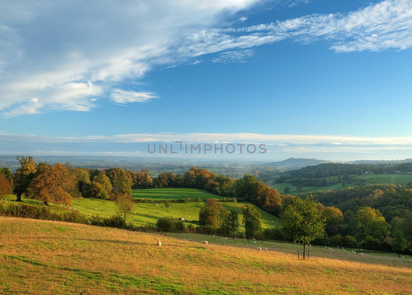 Rural Cotswolds by andrewroland