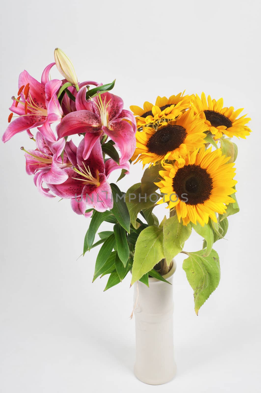 Studio shot of purple lily and sunflowers  in vase