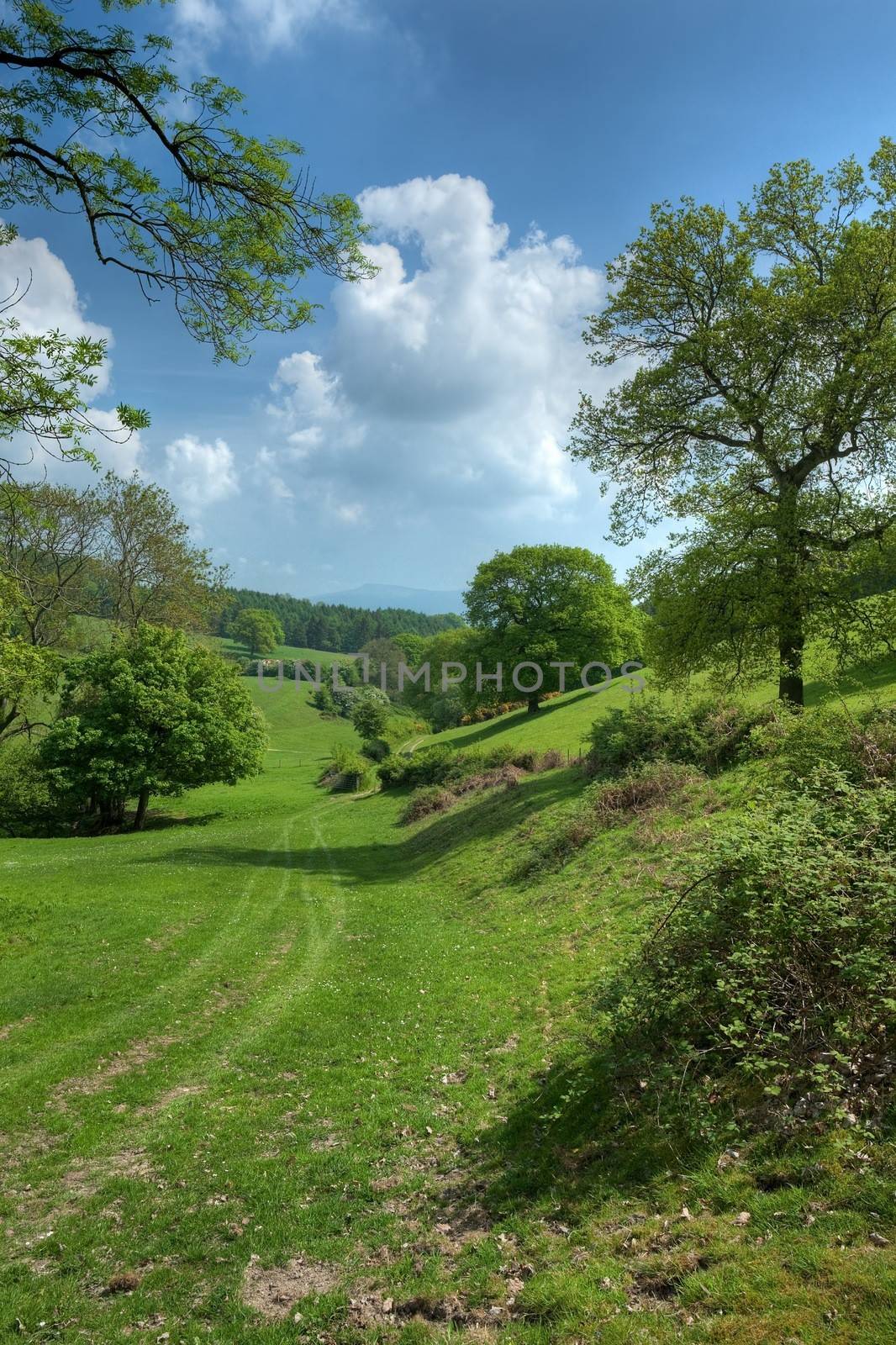 The Herefordshire Trail by andrewroland
