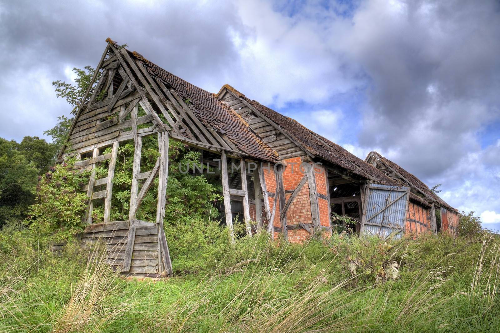 Overgrown old barn, Warwickshire, England.