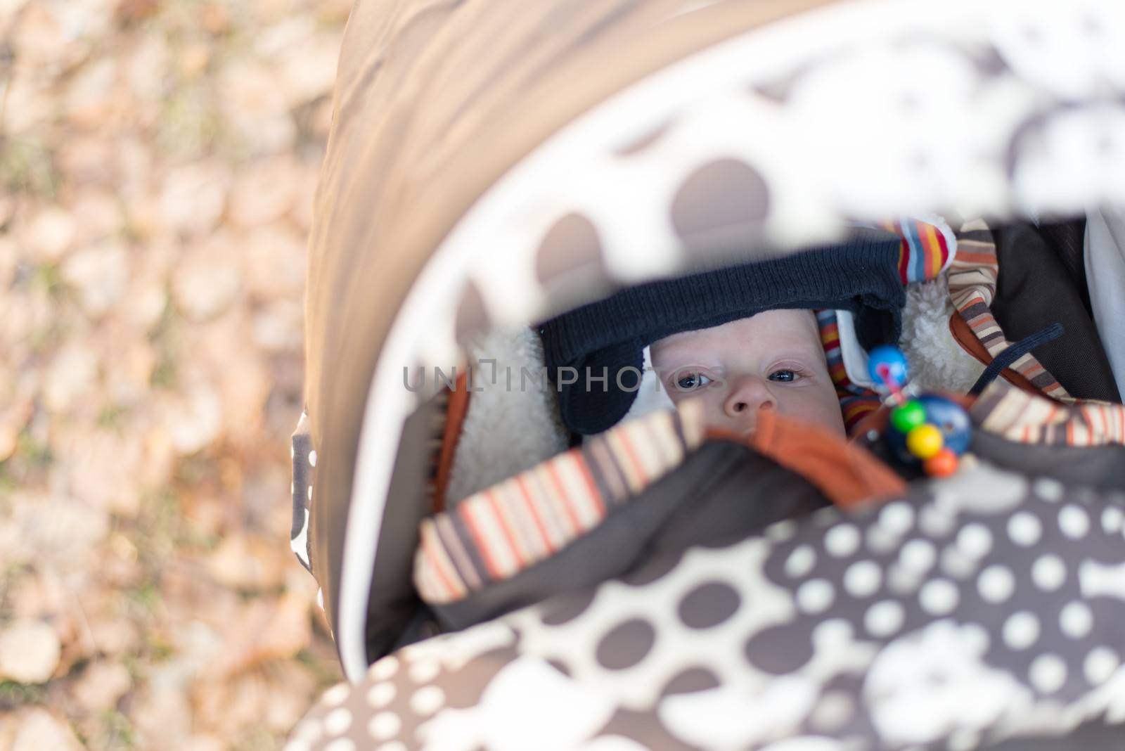 Baby looking out of the stroller in winter