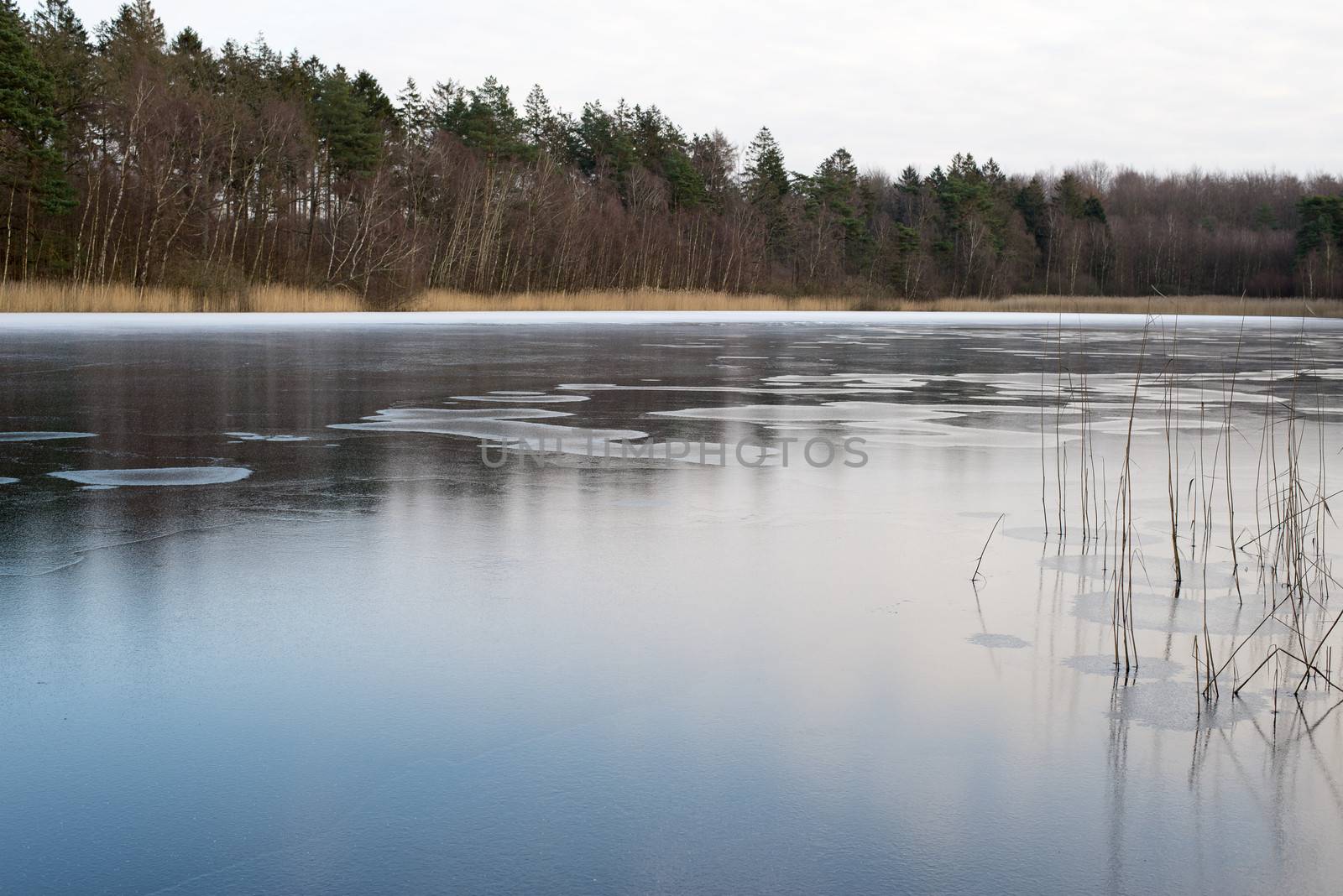 Frozen lake in Denmark by Arrxxx