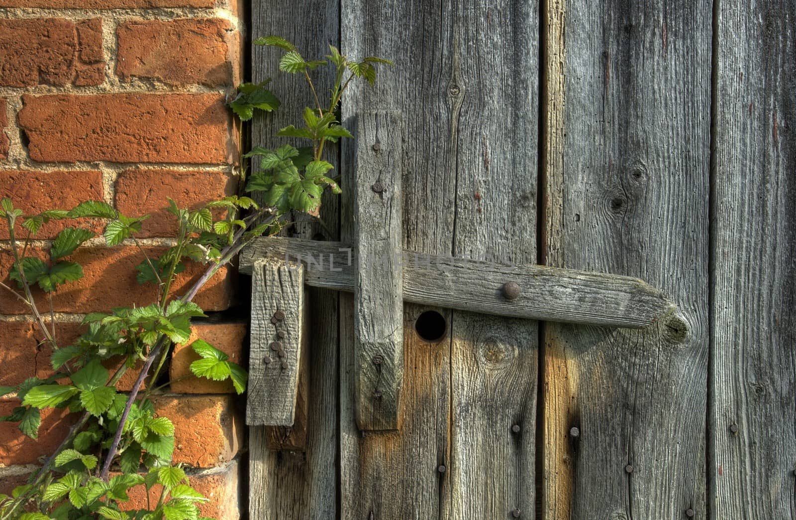 Old barn door with wooden latch, Worcestershire, England.