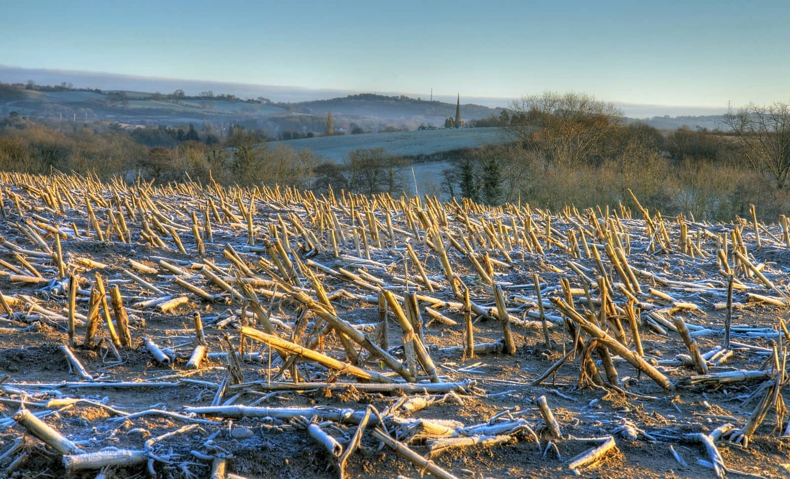 Worcestershire farmland in winter by andrewroland