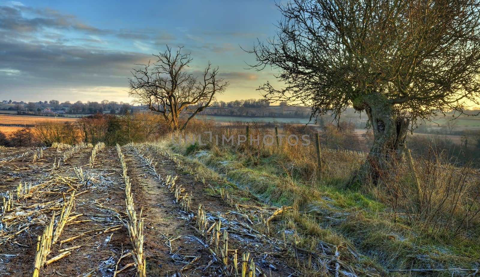 Farmland on a cold winters evening, Drayton near Belbroughton, Worcestershire, England.