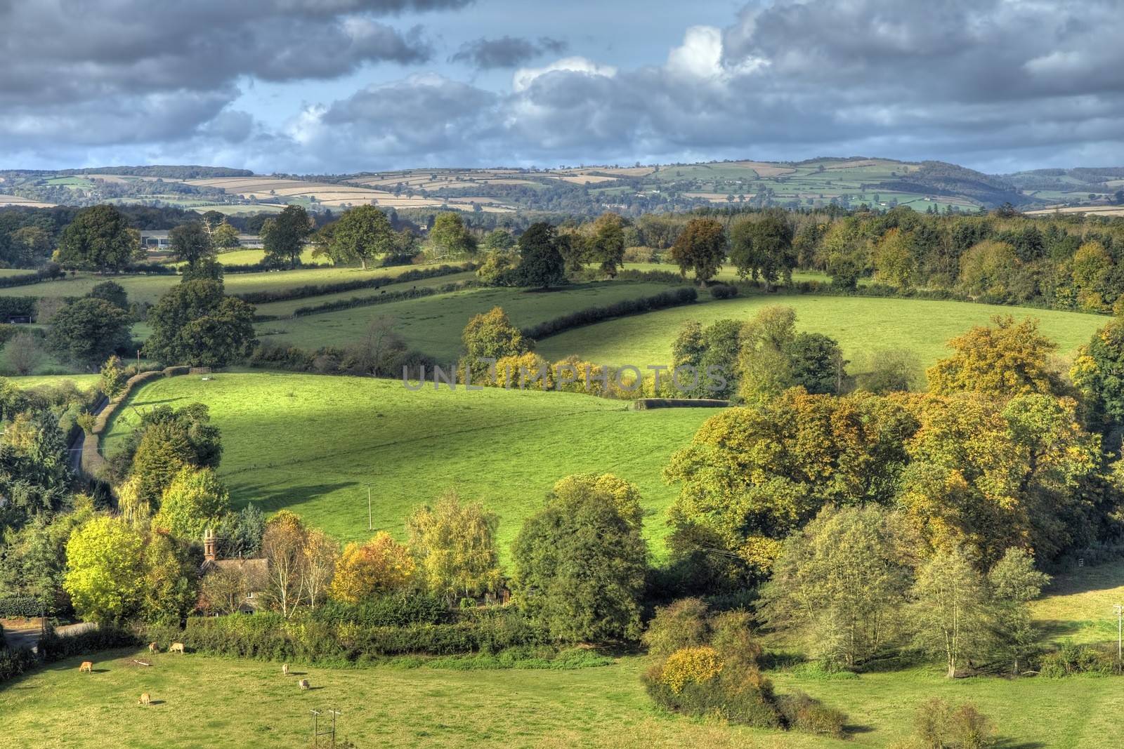 Shropshire countryside near Ludlow, England.