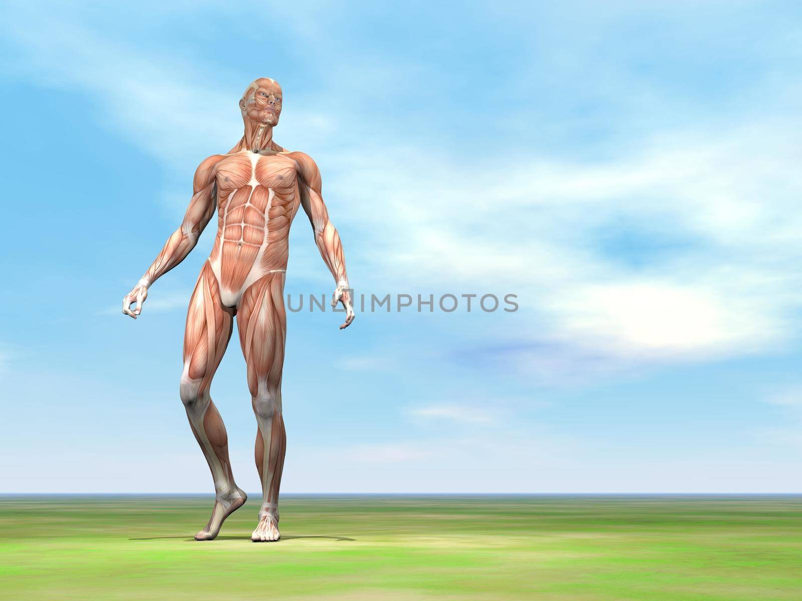 Male musculature walking - 3D render by Elenaphotos21