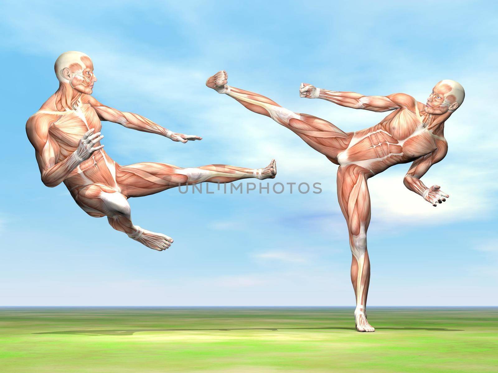 Male musculature fight - 3D render by Elenaphotos21