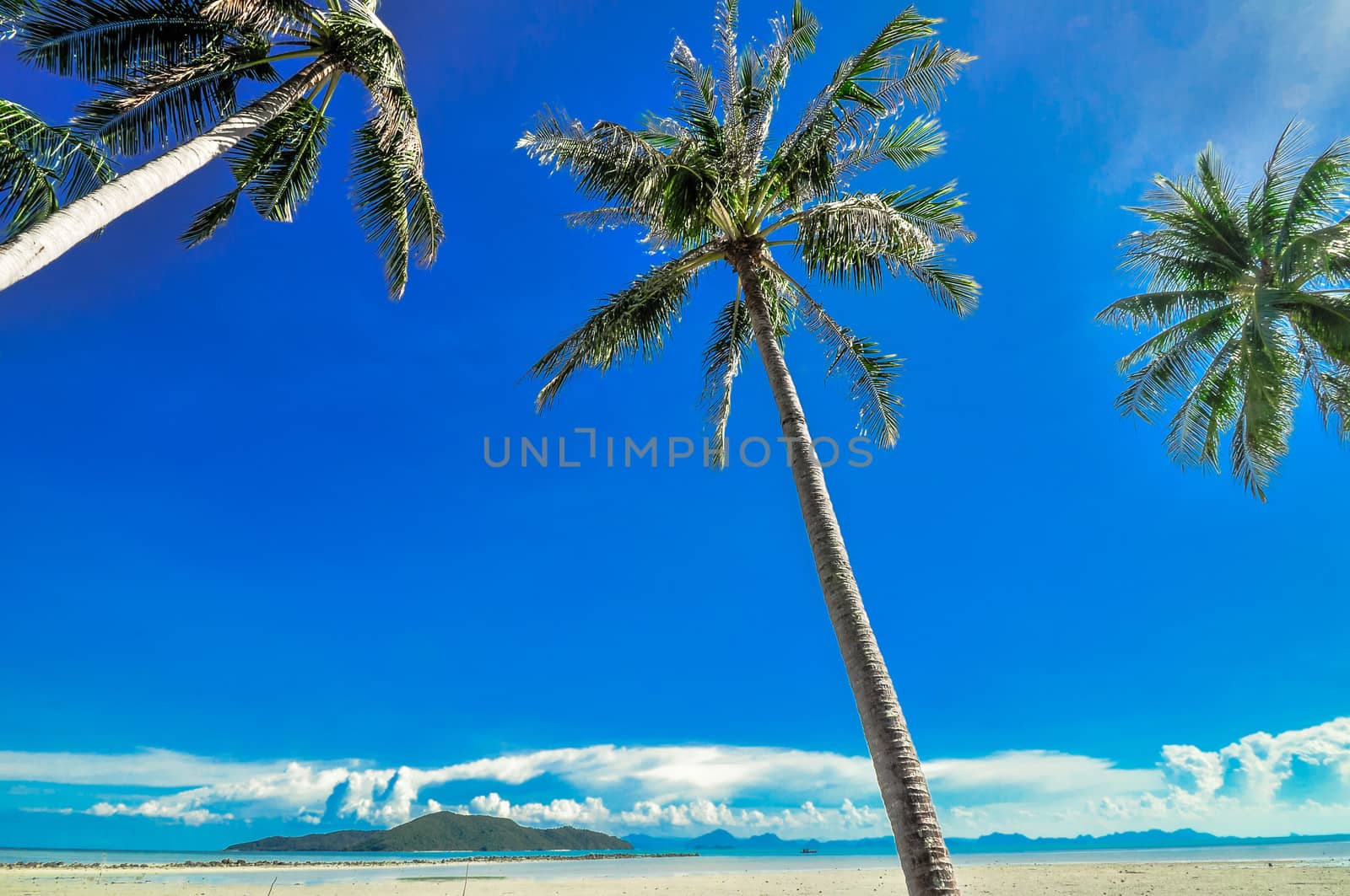 panoramic tropical beach with coconut palm blue sky. Koh Samui, by weltreisendertj