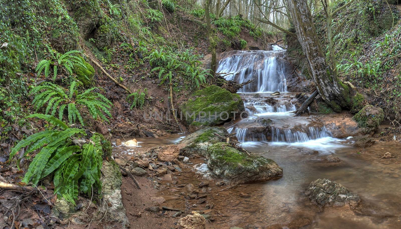 Waterfall and ferns at Death's Dingle, Eastham, Worcestershire, England.