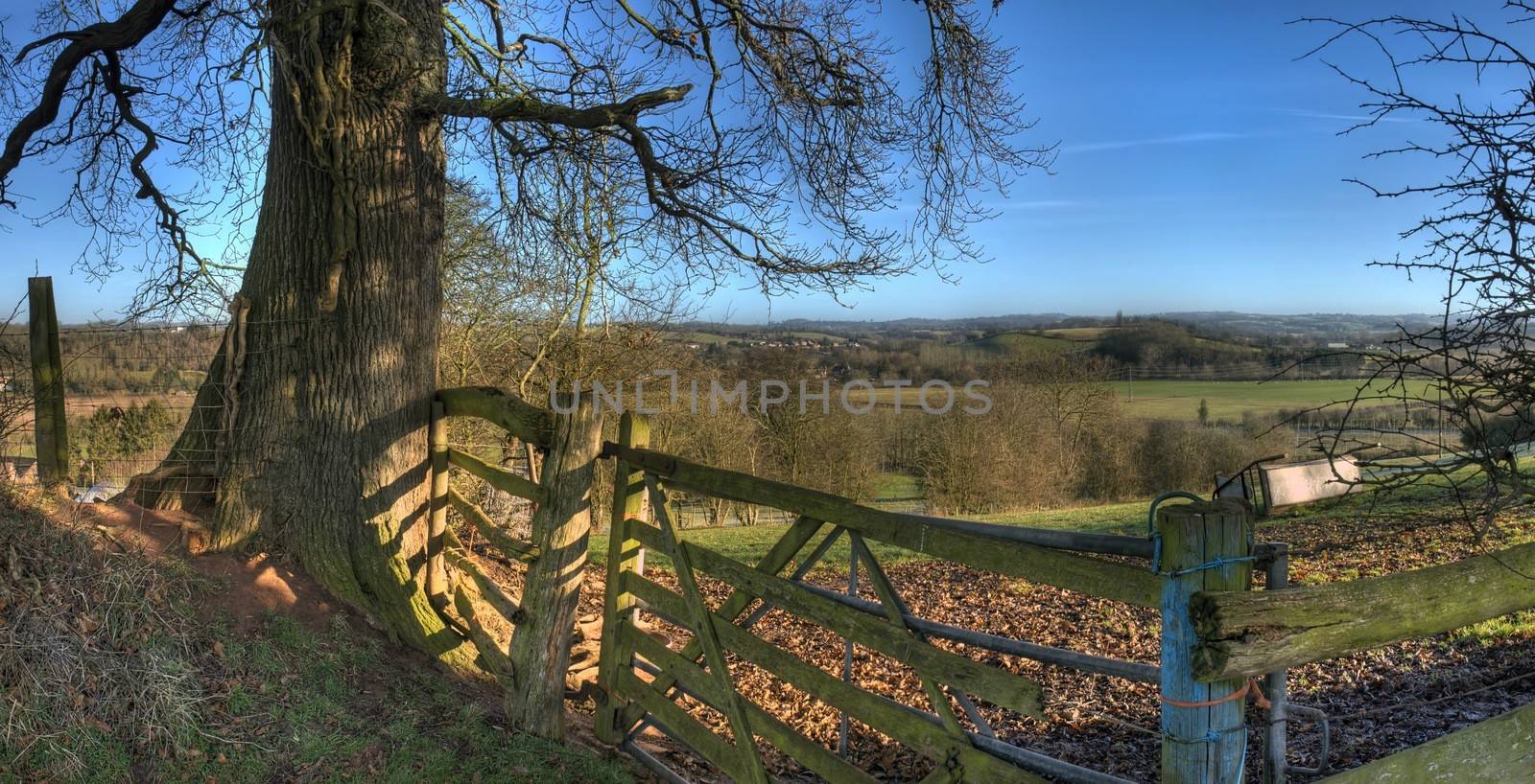 Old gate an oak tree overlooking Worcestershire, England.