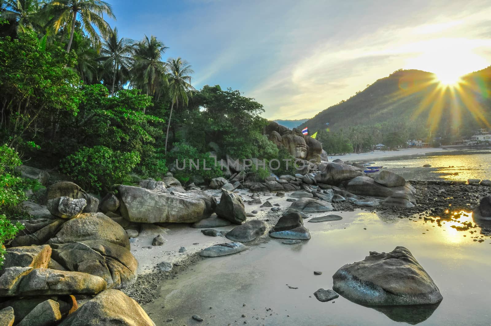 Limestones panoramic tropical beach with coconut palm. Koh Samui, Thailand, Asia