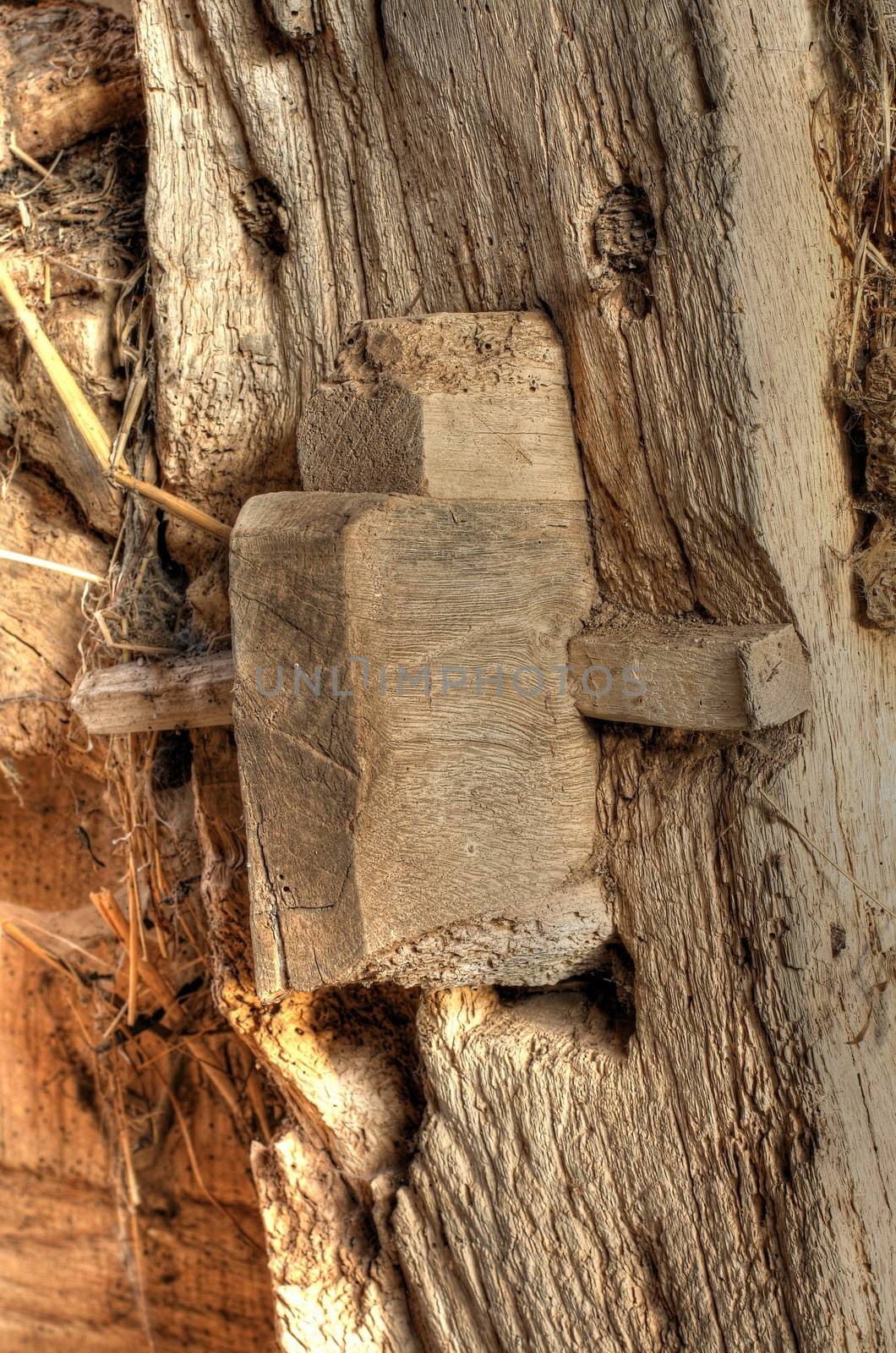 Mortise and Tenon pegged joint detail. Old Worcestershire barn, England.