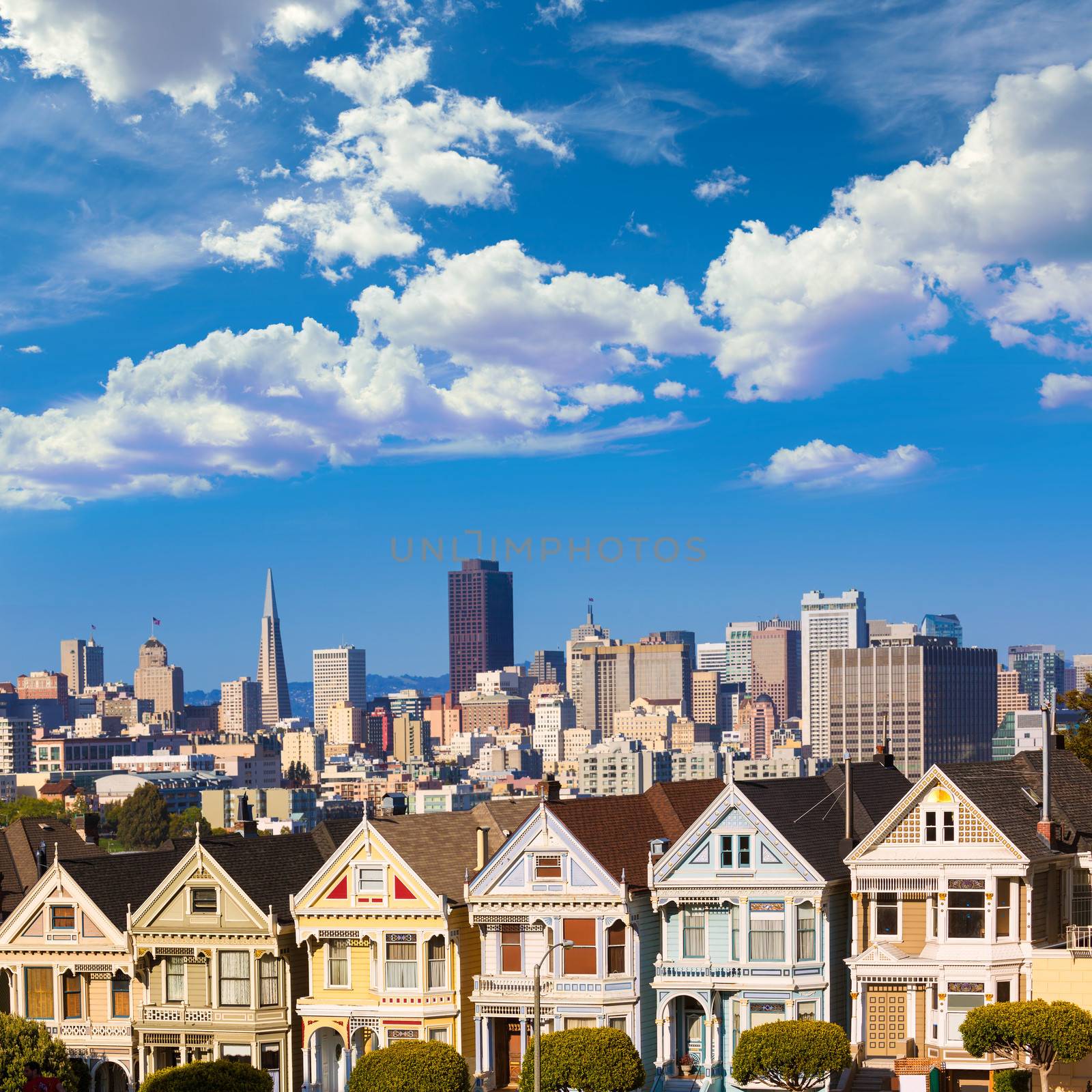 San Francisco Victorian houses in Alamo Square at California USA