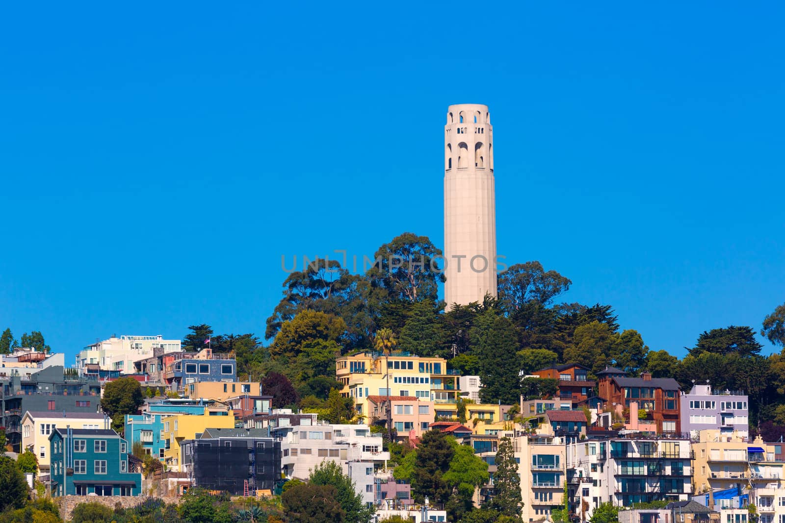 Coit Tower San Francisco California in a blue sky day USA