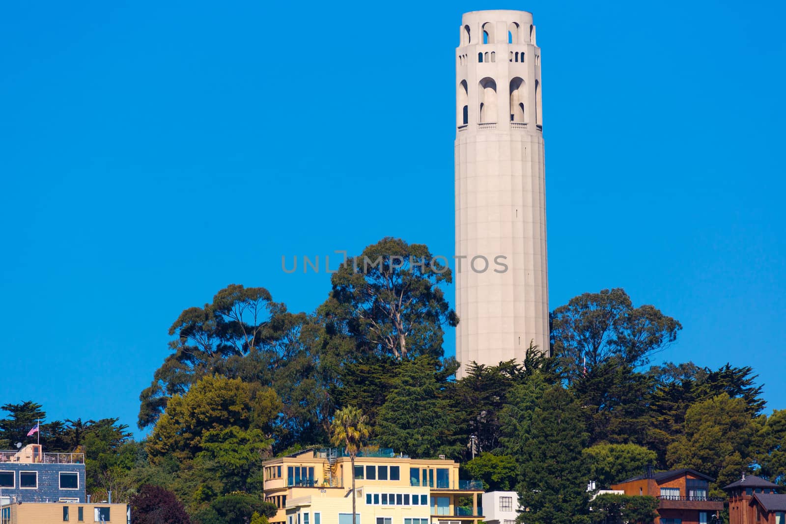 Coit Tower San Francisco California in a blue sky day USA
