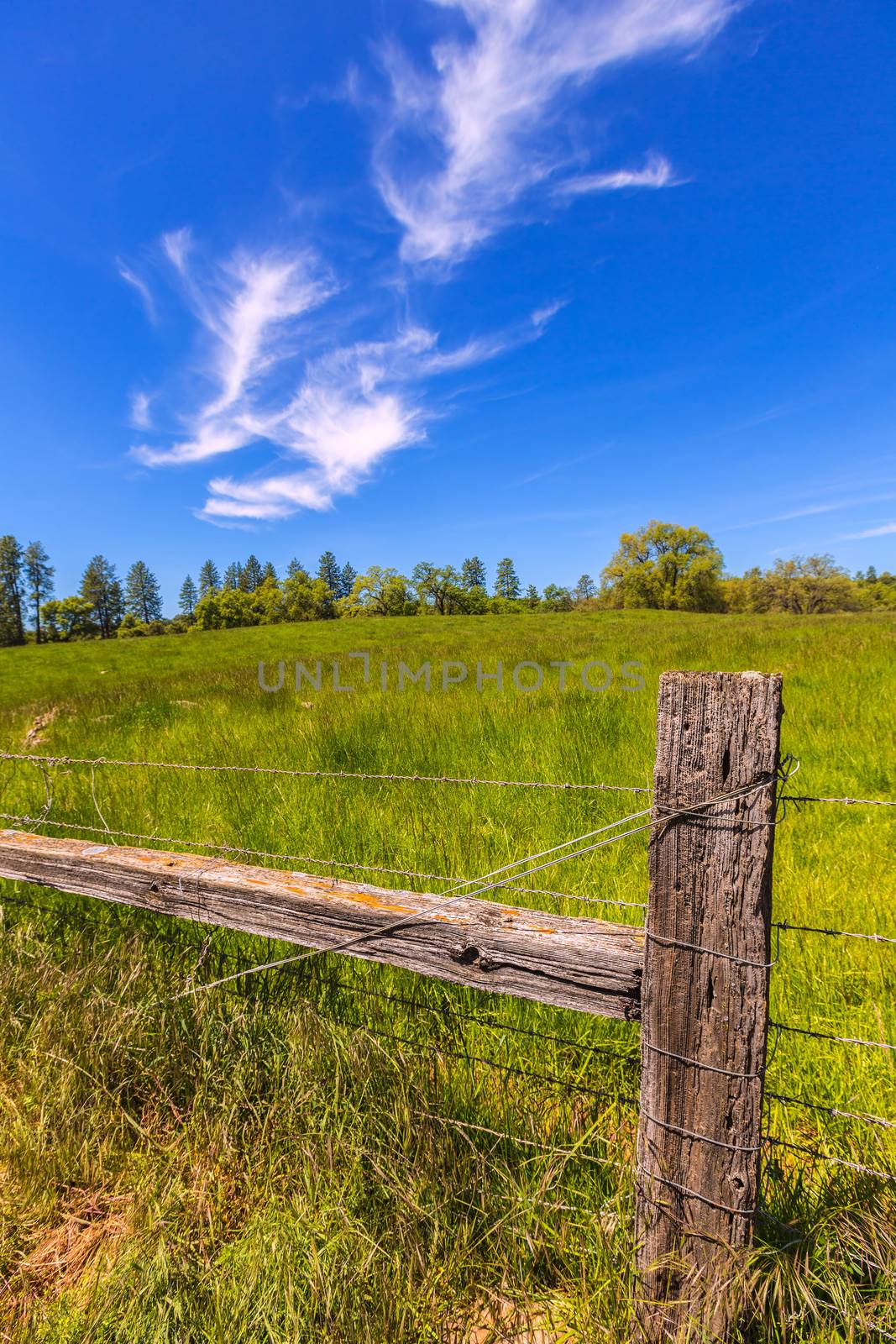 California meadow ranch in a blue sky spring day by lunamarina