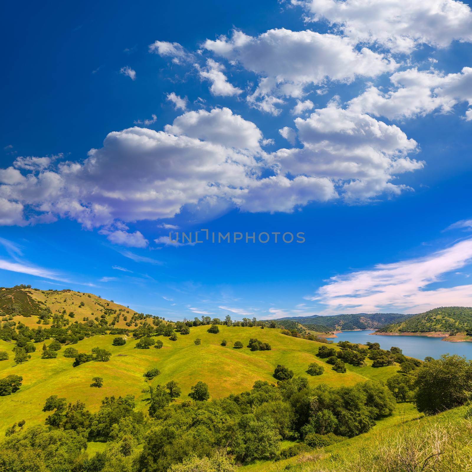 California meadows hill and lake in a blue sky spring by lunamarina