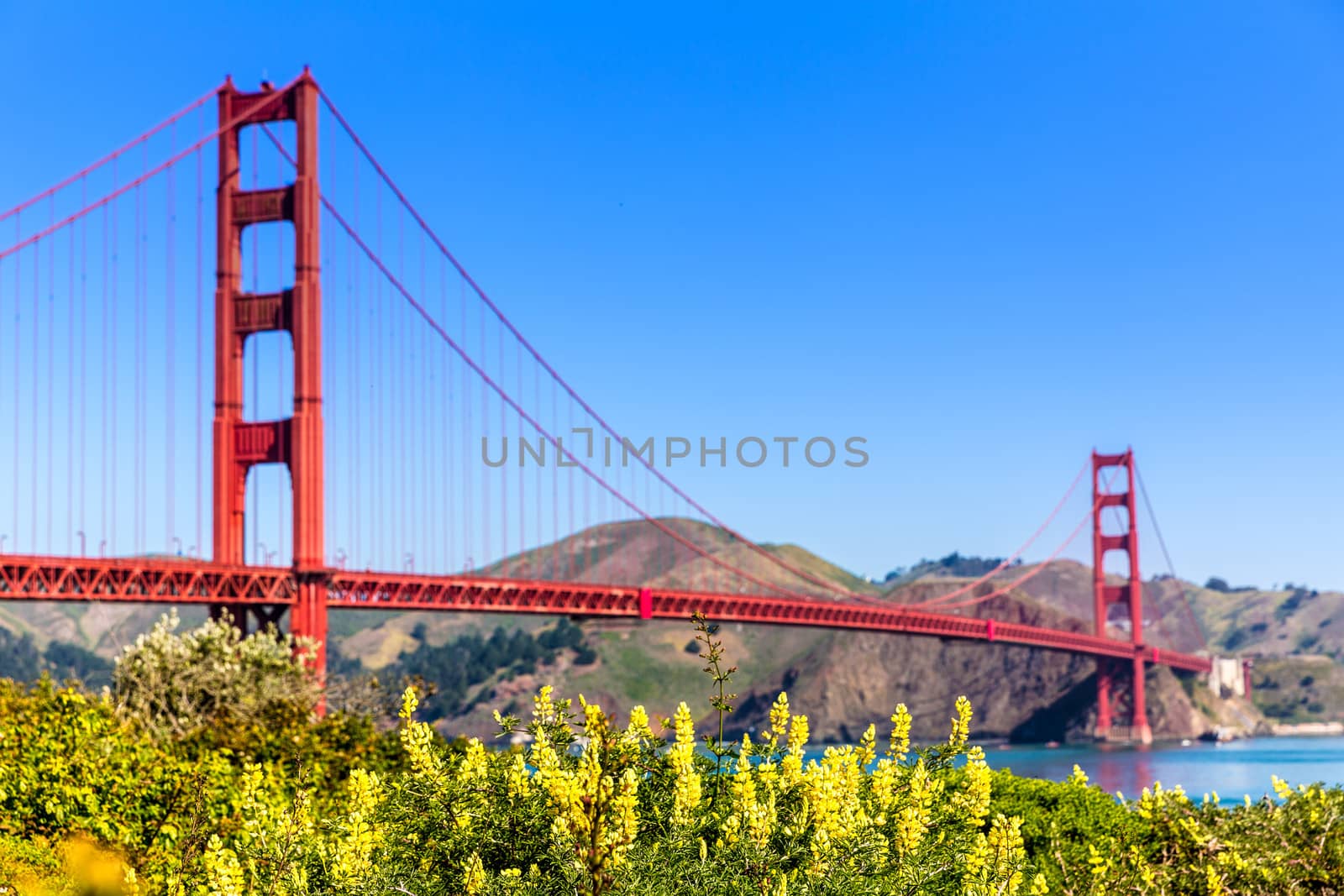 Golden Gate Bridge San Francisco from Presidio in California USA