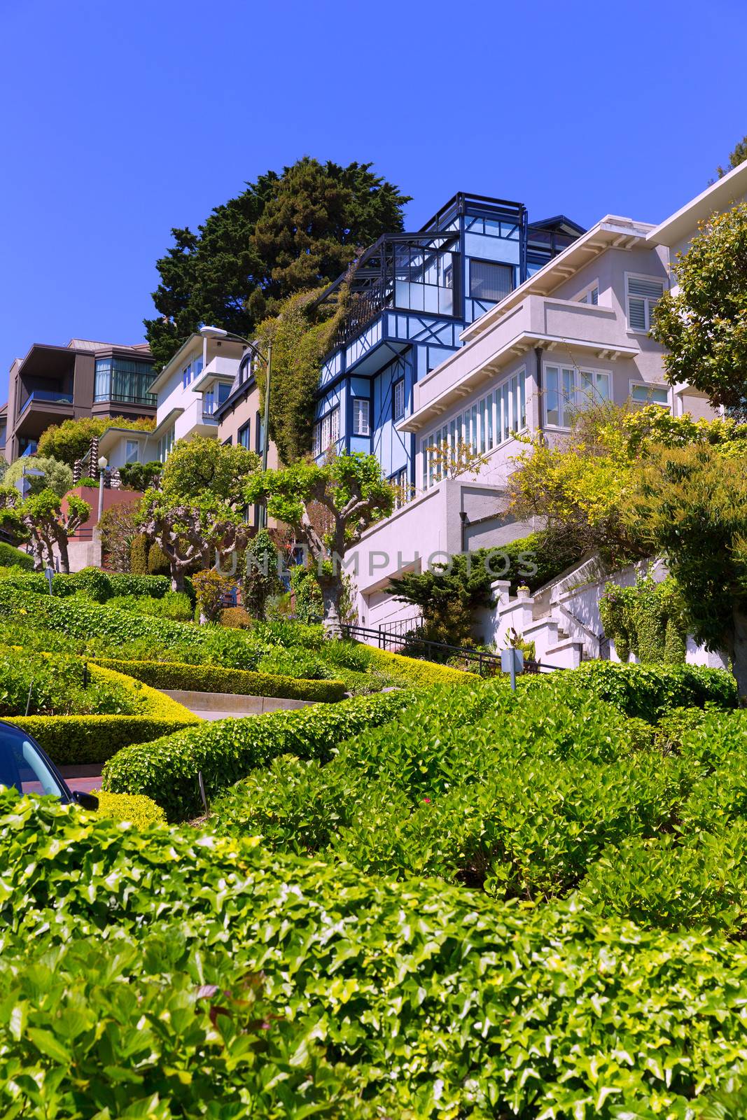 San Francisco Lombard Street gardens in California USA