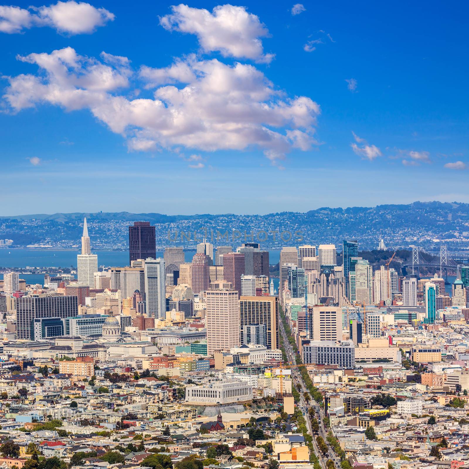 San Francisco skyline from Twin Peaks in California by lunamarina